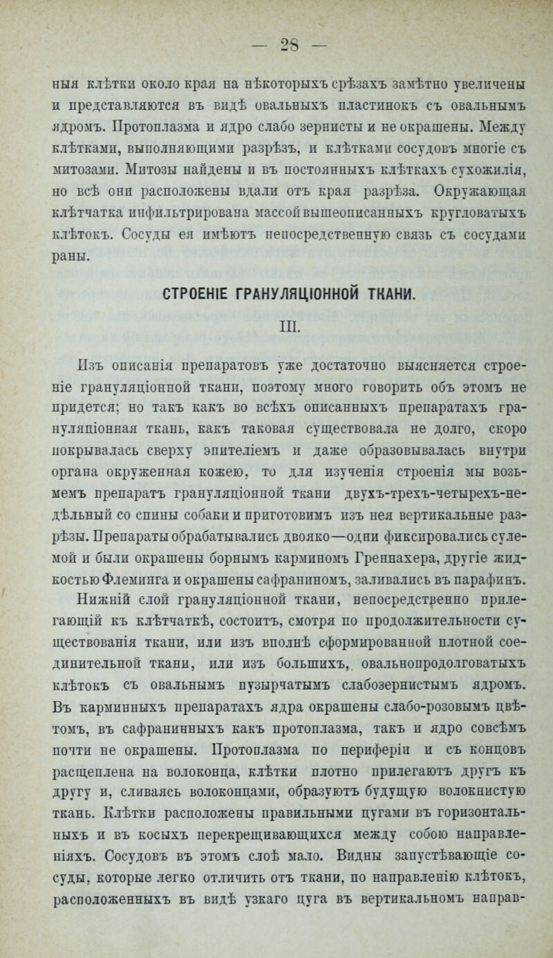 — ге- ния клѣтки около края на нѣкоторыхъ срѣзахъ замѣтно увеличены и представляются въ видѣ овальныхъ пластннокъ съ овальнымъ ядромъ. Протоплазма и ядро слабо зернисты и не окрашены. Между клѣткамп, выполняющими разрѣзъ, и клѣткамц сосудовъ многіе съ митозами. Митозы найдены и въ постоянныхъ клѣткахъ сухожилія, но всѣ они расположены вдали отъ края разрѣза. Окружающая клѣтчатка инфильтрирована массойвышеописанныхъ кругловатыхъ клѣтокъ. Сосуды ея имѣютъ непосредственную связь съ сосудами раны. СТРОЕНІЕ ГРАНУЛЯЦІОННОЙ ТКАНИ. ш. Изъ описанія препаратовъ уже достаточно выясняется строе- ніе грануляціонной ткани, поэтому много говорить объ этомъ не придется; но такъ какъ во всѣхъ описанныхъ препаратахъ гра- нуляціонная ткань, какъ таковая существовала не долго, скоро покрывалась сверху эпителіемъ и даже образовывалась внутри органа окруженная кожею, то для изученія строенія мы возь- мемъ препаратъ грануляціонной ткани двухъ-трехъ-четырехъ-не- дѣльный со спины собаки и приготовимъ изъ нея вертикальные раз- рѣзы. Препараты обрабатывались двояко—одни фиксировались суле- мой и были окрашены борнымъ карминомъ Греннахера, другіе жид- костью Флеминга и окрашены сафраниномъ, заливались въ парафинъ. Нижній слои грануляціонной ткани, непосредственно приле- гающій къ клѣтчаткѣ, состоитъ, смотря по продолжительности су- ществованія ткани, или изъ вполнѣ сформированной плотной сое- динительной ткани, или изъ большихъ, овальнопродолговатыхъ клѣтокъ съ овальнымъ пузырчатымъ слабозернистымъ ядромъ. Въ карминныхъ препаратахъ ядра окрашены слабо-розовымъ цвѣ- томъ, въ сафранинныхъ какъ протоплазма, такъ п ядро совсѣмъ почти не окрашены. Протоплазма по периферіи и съ концовъ расщеплена на волоконца, клѣтки плотно прилегаютъ другъ къ другу и, сливаясь волоконцами, образуютъ будущую волокнистую ткань. Клѣтки расположены правильными цугами въ горизонталь- ныхъ и въ косыхъ перекрещивающихся между собою направле- ніяхъ. Сосудовъ въ этомъ слоѣ мало. Видны запустѣвающіе со- суды, которые легко отличить отъ ткани, по направленію клѣтокъ, расположенныхъ въ видѣ узкаго цуга въ вертикальномъ направ-