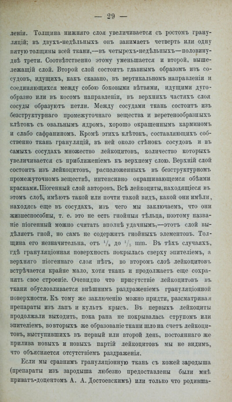 леніи. Толщина ннжняго слоя увеличивается съ ростомъ грану- ляцій; въ двухъ-недѣльныхъ онъ занимаетъ четверть или одну пятую толщины всей ткани,—въ четырехъ-недѣльныхъ—половину- двѣ трети. Соотвѣтственно этому уменьшается и второй, выше- лежащей слой. Второй слой состоитъ главнымъ образомъ изъ со- судовъ, пдущпхъ, какъ сказано, въ вертикальномъ направленіи и соединяющихся между собою боковыми вѣтвями, идущими дуго- образно или въ косомъ направленіи, въ верхнпхъ частяхъ слоя сосуды образуютъ петли. Между сосудами ткань состоитъ изъ безструктурнаго промежуточнаго вещества и веретенообразныхъ клѣтокъ съ овалънымъ ядромъ, хорошо окрашеннымъ карминомъ и слабо сафранпномъ. Кромѣ этпхъ клѣтокъ, составляющихъ соб- ственно ткань грануляцій, въ ней около стѣнокъ сосудовъ и въ самыхъ сосудахъ множество лейкоцитовъ, количество которыхъ увеличивается съ приблпженіемъ къ верхнему слою. Верхніп слой состоитъ изъ лейкоцитовъ, расположенныхъ въ безструктурномъ промежуточномъ веществѣ, интенсивно окрашивающемся обѣими красками. Піогенный слой авторовъ. Всѣ лейкоциты, находящіеся въ этомъ слоѣ, пмѣютъ такой или почти такой видъ, какой они имѣли, находясь еще въ сосудахъ, изъ чего мы заключаемъ, что они жизнеспособны, т. е. это не есть гнойныя тѣльца, поэтому назва- ніе піогеннып можно считать вполнѣ удачнымъ.—этотъ слой вы- дѣляетъ гной, но самъ не содержитъ гнойныхъ элементовъ. Тол- щина его незначительна, отъ У8 До Ѵэ тт* Въ тѣхъ случаяхъ, гдѣ грануляціонная поверхность покрылась сверху эпителіемъ, а верхняго піогеннаго слоя нѣтъ, во второмъ слоѣ лейкоцитовъ встрѣчается крайне мало, хотя ткань и продолжаетъ еще сохра- нять свое строеніе. Очевидно что прпсутствіе лейкоцитовъ въ ткани обусловливается внѣшнпмъ раздраженіемъ грануляціонной поверхности. Къ тому же заключенію можно придти, разсматривая препараты изъ лапъ п культъ крысъ. Въ первыхъ лейкоциты продолжали выходить, пока рана не покрывалась струпомъ или эпптеліемъ, вовторыхъ же образованіе ткани шло на счетъ лейкоци- товъ, выступпвшпхъ въ первый или второй день, постояннаго же прилива новыхъ и новыхъ партій лейкоцитовъ мы не виднмъ, что объясняется отсутствіемъ раздраженія. Если мы сравнимъ грануляціонную ткань съ кожей зародыша (препараты изъ зародыша любезно предоставлены были мнѣ прнватъ-допентомъ А. А. Достоевскпмъ) или только что родивша-