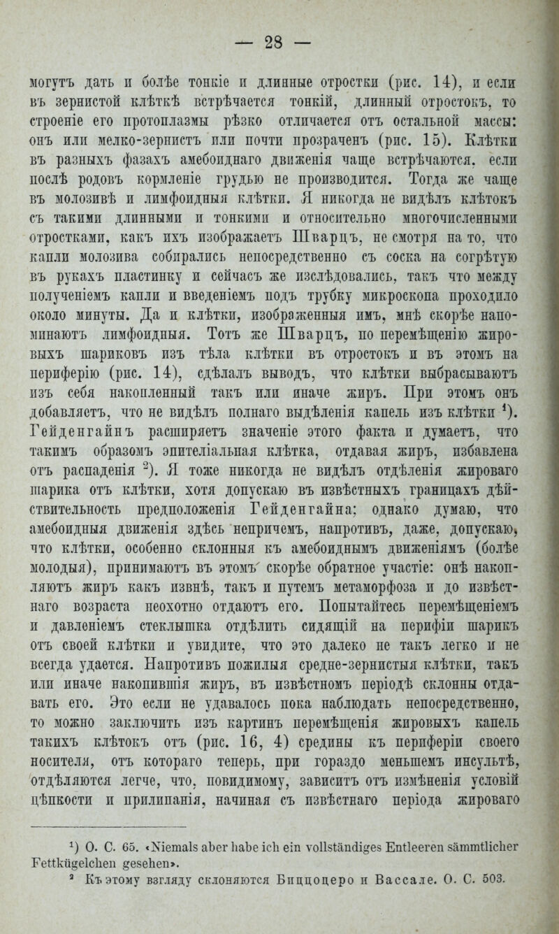 могутъ дать и болѣе тонкіе и длинные отростки (рис. 14), и если въ зернистой клѣткѣ встрѣчается тонкій, длинный отростокъ, то строеніе его протоплазмы рѣзко отличается отъ остальной массы: онъ или мелко-зернистъ или почти прозраченъ (рис. 15). Клѣтки въ разныхъ фазахъ амебоиднаго движенія чаще встрѣчаются. если послѣ родовъ кормленіе грудью не производится. Тогда же чаще въ молозивѣ и лимфоидныя клѣтки. Я никогда не видѣлъ клѣтокъ съ такими длинными и тонкими и относительно многочисленными отростками, какъ ихъ изображаетъ Шварцъ, не смотря на то, что капли молозива собирались непосредственно съ соска на согрѣтую въ рукахъ пластинку и сейчасъ же изслѣдовались, такъ что между полученіемъ капли и введеніемъ подъ трубку микроскопа проходило около минуты. Да и клѣтки, изображенныя имъ, мнѣ скорѣе напо- мпнаютъ лимфоидныя. Тотъ же Шварцъ, по перемѣщенію жиро- выхъ шариковъ изъ тѣла клѣтки въ отростокъ и въ этомъ на периферію (рис. 14), сдѣлалъ выводъ, что клѣтки выбрасываютъ изъ себя накопленный такъ или иначе жиръ. При этомъ онъ добавляетъ, что не видѣлъ полнаго выдѣленія капель изъ клѣтки !). Гейденгайнъ расширяетъ значеніе этого факта и думаетъ, что такимъ образомъ эпителіальная клѣтка, отдавая жиръ, избавлена отъ распаденія 2). Я. тоже никогда не видѣлъ отдѣленія жироваго шарика отъ клѣтки, хотя допускаю въ извѣстныхъ границахъ дѣй- ствительность предположенія Гейденгайна; однако думаю, что амебоидныя движенія здѣсь непричемъ, напротивъ, даже, допускаю, что клѣтки, особенно склонныя къ амебоиднымъ движеніямъ (болѣе молодыя), принимаютъ въ этомъ' скорѣе обратное участіе: онѣ накоп- ляютъ жиръ какъ извнѣ, такъ и путемъ метаморфоза и до извѣст- наго возраста неохотно отдаютъ его. Попытайтесь перемѣщеніемъ и давленіемъ стеклышка отдѣлить сидящій на перифіи шарикъ отъ своей клѣтки и увидите, что это далеко не такъ легко и не всегда удается. Напротивъ пожилыя средне-зернистыя клѣтки, такъ или иначе накопившія жиръ, въ извѣстномъ періодѣ склонны отда- вать его. Это если не удавалось пока наблюдать непосредственно, то можно заключить изъ картинъ перемѣщенія жировыхъ капель такихъ клѣтокъ отъ (рис. 16, 4) средины къ перпферіи своего носителя, отъ котораго теперь, при гораздо меныпемъ инсультѣ, отдѣляются легче, что, повидимому, зависитъ отъ измѣненія условій цѣпкости и прилипанія, начиная съ извѣстнаго періода жироваго 1) О. С 65. «Хіетаіз аЪег ІіаЪе ісіі еіп ѵоіізѣапсіі&ез ЕпПеегеп 8аттШс1іег ГеШш§е1с1іеп &е8еЬегі>. а Къ этому взгляду склоняются Биццоцеро и Вассале. О. С. 503.