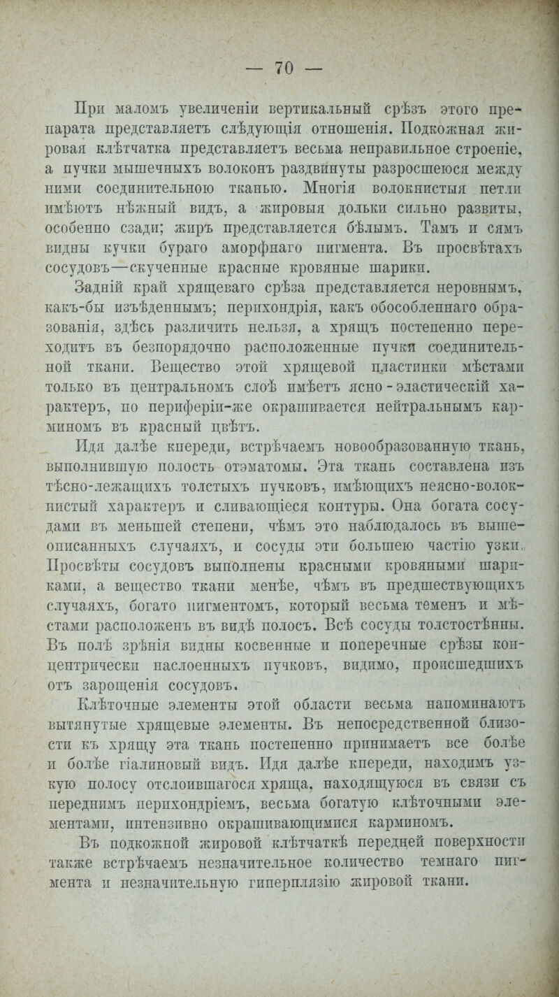 При маломъ увеличеніи вертикальный срѣзъ этого пре- парата представляетъ слѣдующія отношенія. Подкожная жи- ровая клѣтчатка представляетъ весьма неправильное строеніе, а пучки мышечныхъ волоконъ раздвинуты разросшеюся между ними соединительною тканью. Многія волокнистыя петли имѣютъ нѣжный видъ, а жировыя дольки сильно развиты, особенно сзади; жиръ представляется бѣлымъ. Тамъ и сямъ видны кучки бураго аморфнаго пигмента. Въ просвѣтахъ сосудовъ—скученные красные кровяные шарики. Задній край хрящеваго срѣза представляется неровнымъ. какъ-бы изъѣденнымъ; перихондрія, какъ обособленнаго обра- зованія, здѣсь различить нельзя, а хрящъ постепенно пере- ходить въ безпорядочно расположенные пучки соединитель- нон ткани. Вещество этой хрящевой пластинки мѣстами только въ пентральномъ слоѣ имѣетъ ясно - эластическій ха- рактеру по периферіи-же окрашивается нейтральнымъ кар- миномъ въ красный цвѣтъ. Идя далѣе кпереди, встрѣчаемъ новообразованную ткань, выполнившую полость отэматомы. Эта ткань составлена изъ тѣсно-лежащихъ толстыхъ пучковъ, имѣгощихъ неясно-волок- нистый характеръ и сливающіеся контуры. Она богата сосу- дами въ меньшей степени, чѣмъ это наблюдалось въ выше- описанныхъ случаяхъ, и сосуды эти большею частно узки, Просвѣты сосудовъ выполнены красными кровяными шари- ками, а вещество ткани менѣе, чѣмъ въ предшествующихъ случаяхъ, богато пигментомъ, который весьма теменъ и ме- стами расположенъ въ видѣ полосъ. Всѣ сосуды толстостѣнны. Въ полѣ зрѣнія видны косвенные и поперечные срѣзы кон- центрически наслоенныхъ пучковъ, видимо, происшедшихъ отъ зарощенія сосудовъ. Клѣточные элементы этой области весьма напоминаютъ вытянутые хрящевые элементы. Въ непосредственной близо- сти къ хрящу эта ткань постепенно принимаетъ все болѣе и болѣе гіалиновый видъ. Идя далѣе кпереди, находимъ уз- кую полосу отслоившагося хряща, находящуюся въ связи съ переднимъ перихондріемъ, весьма богатую клѣточными эле- ментами, интензивно окрашивающимися карминомъ. Въ подкожной жировой клѣтчаткѣ передней поверхности также встрѣчаемъ незначительное количество темнаго пиг- мента и незначительную гнперплязію жировой ткани.