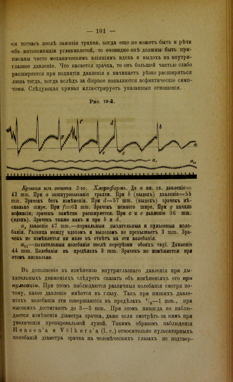 «ся тотчасъ послѣ зажатія трахѳи, когда ѳщѳ не можетъ быть и рѣчи объ интоксикаціи углекислотой, то очевидно онѣ должны быть при- писаны чисто механическимъ вліяніямъ вдоха и выдоха на внутри- глазное давленіе. Что касается зрачка, то онъ большей частью слабо расширяется при поднятіи давленія и начинаетъ рѣзко расширяться лишь тогда, когда вслѣдъ за гіізрпое появляются асфиктическіе симп- томы. Слѣдующая кривая иллюстрируетъ указанный отношенія. Рис. 19-й. л. п Кривая изъ опыта 3-ю. Хлороформъ. До а вн. гл. давленіе= 42 гаш. При а зашнуровываніе трахеи. При Ъ (выдогь) давленіе=55 шт. Зрачекъ безъ измѣненія. При й=57 тт. (выдохъ) зрачекъ не- сколько шире. При /*=62 тт. Зрачекъ немного шире. При д начало асфиксіи; зрачекъ замѣтно расширяется. При сие давленіе 36 тт. (вдохъ). Зрачекъ также какъ и при Ь и <і. а, давленіе 47 тт.—нормальные дыхательныя и нульсовыя коле- банія. Разница между вдохомъ и выдохомъ не превышаетъ 3 тт. Зра- чекъ не измѣняется ни мало въ отвѣтъ на эти колебанія. аи—дыхательныя колебанія послѣ перерѣзки обоихъ ѵа§і. Давденіе 44 тт. Колебанія въ предѣлахъ 3 тт. Зрачекъ не изменяется при этомъ нисколько. Въ дополненіе къ измѣненію внутриглазнаго давленія при ды- хательныхъ движеніяхъ слѣдуетъ сказать объ измѣненіяхъ его при пульсаціи. При этомъ наблюдаются различный колебанія смотря по- тому, какое давленіе имѣется въ глазу. Такъ при низкихъ давле- ніяхъ колебапіи эти совершаются въ предѣлахъ Ѵ2—1 тт., при высокихъ достигаютъ до 3—5 тт. При этомъ никогда не наблю- дается измѣненія діаметра зрачка, даже если смотрѣть за нимъ при увеличеніи препаровальной луной. Такимъ образомъ наблюденія Н е п 8 е п' а и V о 1 к е г а' а (1. с.) относительно пульсаторныхъ колебаній діаметра зрачка на человѣческихъ глазахъ не подтвер-