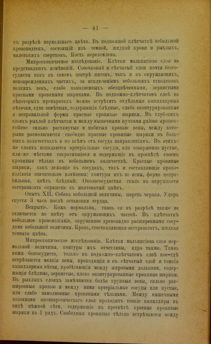 въ разрѣзѣ нормальнаго цвѣта. Въ подкожной клѣтчаткѣ небольшой кровоподтекъ, состоящій изъ темной, жидкой крови и рыхлыхъ, маленькихъ свертковъ. Кость переломлена. Микроскопическое изслѣдованіе. Клѣтки мальиигіева ши не иредставляютъ измѣненій. Сосочковый и сѣтчатый слои почти безсо- судисты какъ въ самомъ центрѣ пятенъ, такъ и въ окружающихъ, неповрежденныхъ частяхъ, за исключеніемъ неболыпихъ стволиковъ мелкихъ венъ, слабо наполненныхъ обезцвѣченными, зернистыми красными кровяными шариками. Въ подкожно-клѣтчатомъ слоѣ на нѣкоторыхъ препаратахъ можно встрѣтить отдѣльныя капиллярный вѣточки, едва замѣтныя, содержащая блѣдные, слабо оконтурированные и неправильной формы красные кровяные шарики. Въ глубокихъ слояхъ рыхлой клѣтчатки и между мышечными пучками §'а1ѳаѳ ароиеп- гоіісае сильно растянутый и набитыя кровью вены, между кото- рыми располагаются свободно красные кровяные шарики въ боль- шихъ количествахъ и по всѣмъ отъ сосуда направленымъ. Въ этихъ- же слояхъ попадаются артеріальные сосуды, или совершенно пустые, или-же мѣстами сократившіеся и содержание въ просвѣтѣ своемъ кровяныя тѣльца въ неболыпемъ количествѣ. Красные кровяные шарики, какъ лежащіе въ сосудахъ, такъ и составляющее крово- изліянія значительно измѣнены: контуры ихъ не ясны, форма непра- вильная, цвѣтъ блѣдный. Околососудистая ткань въ окружности экстравазата окрашена въ желтоватый цвѣтъ. Опытъ XII. Собака небольшой величины, шерсть черная. Ударъ спустя 3 часа послѣ остановки сердца. Вскрытіе. Кожа нормальна, ткань ея въ разрѣзѣ также не отличается по цвѣту отъ окружающихъ частей. Въ клѣтчаткѣ небольшое кровоизліяніе, окруженное древовидно расширенными сосу- дами небольшой величины. Кровь, стоставляющая экстравазатъ, жидкая темнаго цвѣта. Микроскопическое изслѣдованіе. Клѣтки мальпигіева слоя нор- мальной величины, контуры ихъ отчетливы, ядра также. Ткань кожи безсосудиста, только въ подкожно-клѣтчатомъ слоѣ кое-гдѣ встрѣчаются мелкія вены, проходящія и въ сѣтчатый слой и тонкія капиллярный вѣтви, иробѣгающія между жировыми дольками, содер- жания блѣдные, зернистые, плохо оконтурированные кровяные шарики. Въ рыхлыхъ слояхъ замѣчаются болѣе крупныя вены, сильно рас- ширенный кровью и между ними артеріальные сосуды или пустые, или слабо наполненные кровяными тѣльцами. Между мышечными волокнами апоновротическаго слоя проходятъ тонкіе капилляры въ видѣ нѣжной сѣти, содержание въ просвѣтѣ красные кровяные шарики въ 1 рядъ. Свободный кровяныя тѣльца встрѣчаются между