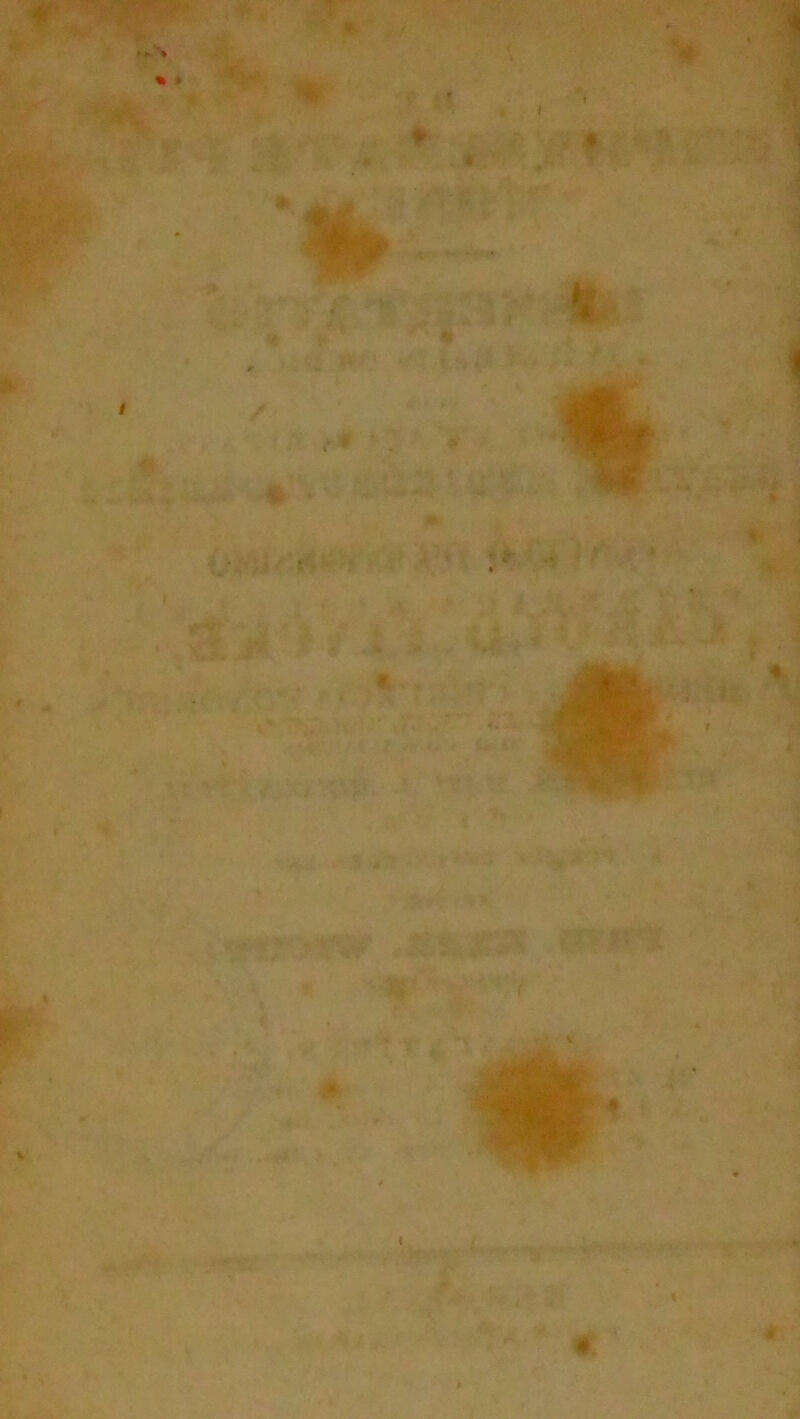 ♦ * v i * ’S Sr r - . ■ % * • * * « % #