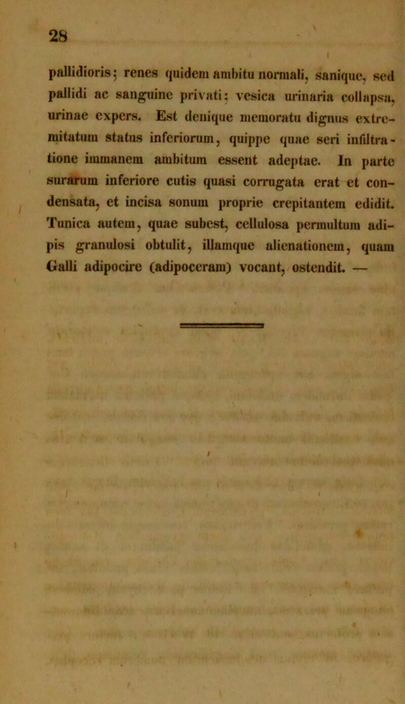 28 v pallidioris; renes quidem ambitu normali, sanique, sed pallidi ac sanguine privati; vesica urinaria collapsa, urinae expers. Est denique memoratu dignus extre- mitatum status inferiorum, quippe quae seri infdtra- tione immanem ambitum essent adeptae. In parte surarum inferiore cutis quasi corrugata erat et con- densata, et incisa sonum proprie crepitantem edidit. Tunica autem, quae subest, cellulosa permultum adi- pis granulosi obtulit, illamque alienationem, quam Galli adipocire (adipoceram) vocant, ostendit. — i