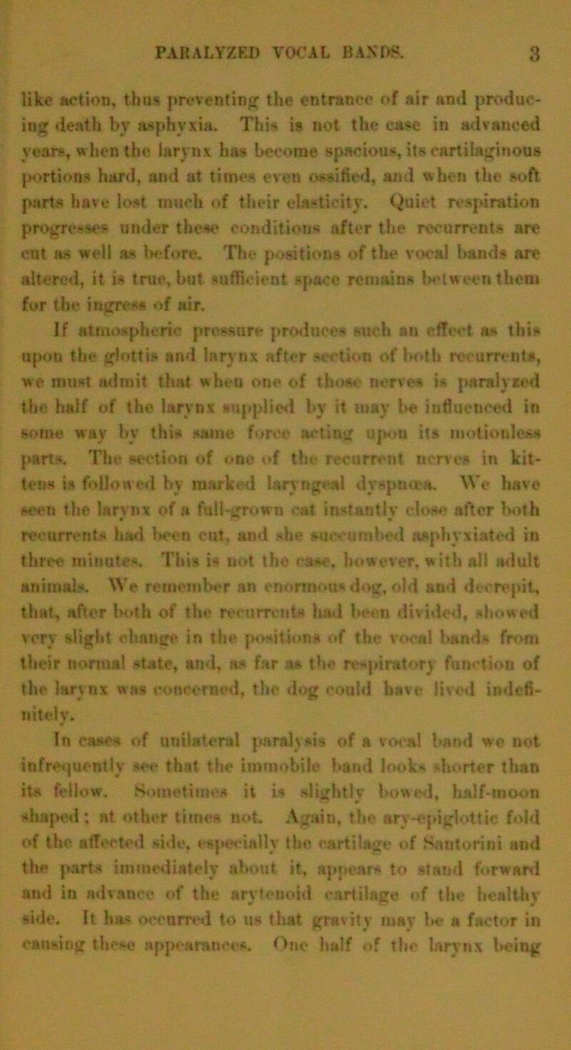 like action, thus preventing the entrance of air and produc- ing death by asphyxia. This is not the ease in advanced years, when the larynx has become spacious, its cartilaginous portions hard, and at times even ossified, and when the soft parts have lost much of their elasticity. Quiet respiration progresses under these conditions after the recurrent* are cut as well as before. The positions of the vocal hands are altered, it is true, but sufficient space remains between them for the ingress of air. If atmospheric pressure produces such an effect as this upon the glottis and larynx after section of both recurrent*, we must admit that when one of those nerves is paralysed the half of the larynx supplied by it may be influenced in some wav by this same force acting upon its motionless parts. The section of one of the recurrent nerves in kit- tens is followed by marked laryngeal dyspnoea. We have seen the larynx of a full-grown cat instantly close after both recurrent* had been cut, and she succumbed asphyxiated in three minutes. This is not the case. however, with all adult animals. Wo remember an enormous dog, old and decrepit, that, after both of the re currents had been divided, showed very slight change in the positions of the vocal bands from their normal state, and, as far as the respiratory function of the larynx was concerned, the dog could have lived indefi- nitely. In case* of unilateral paralysis of a vocal band we not infrequently see that the immobile band look* shorter than its fellow. Sometimes it is slightly bowed, half-rnoon shaped; at other time* not. Again, the ary-epiglottic fold of the affected side, especially the cartilage of Santorini and the parts immediately about it. appear* to stand forward and in advance of the arytenoid eartilage of the healthy side. It has occurred to us that gravity may be a factor in causing these appearances. One half of the larynx being