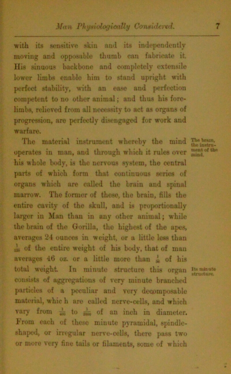 with its sensitive skin and its independently moving and opposable thumb ean fabricate it. His sinuous backbone and completely extensile lower limbs enable him to stand upright with perfect stability, with an ease and perfection competent to no other animal; and thus his fore- limbs, relieved from all necessity to act as organs of progression, are perfectly di.M ngaged for work and warfare. The material instrument whereby the mind operates in man, and through which it rules over his whole body, is the nervous system, the central parts of which form that continuous series of organs which are called the brain and spinal marrow. The former of these, the braiu, fills the entire cavity of the skull, and is proportionally larger in Man than in any other animal; while the brain of the Gorilla, the highest of the apes averages 24 ounces in weight, or a little less than ti, of the entire weight of his body, that of man averages 46 oz. or a little more than * of his total weight In minute structure this organ consists of aggregations of very minute branched particles of a peculiar and very decomposable material, whic h are called nerve-cells, and which vary from to ^ of an inch in diameter. From each of these minute pyramidal, spindle- shaped, or irregular nerve-cells, there pass two or more very fine tails or filaments, some of which TTw brum, the instru- ment of mind. 1U Biii ut* •trurturfc