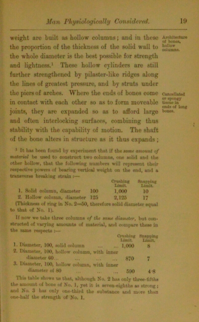 weight are built as hollow columns; and in these the proportion of the thickness of the solid wail to the whole diameter is the best possible for strength and lightness.1 These hollow cylinders are still further strengthened by pilaster-like ridges along the lines of greatest pressure, and by struts under the piers of arches. Where the ends of bones come in contact with each other so as to form moveable joints, they are expanded so as to afford large and often interlocking surfaces, combining thus stability with the capability of motion. The shaft of the bone alters in structure as it thus expands ; 1 It has been found by rxperuoesit that if the torn* amount of material be used to construct two column*, one solid and the other hollow, that th« following number* will represent- their respective power* of bearing vertical weight on the end, and a transverse breaking (Strain t— Crushing Snapping Ltnut. Limit 1. Solid oolumn, diameter 100 1,000 10 - Hollow column, diameter 125 2,123 17 (Thickness* of ring in No. 2^=50, therefore solid diameter equal to that of No. 1). If now we take three column* of the mime diameter, but con- structed of varying amount* of material, and compare these in the same respects ;— Crushing Snapping Limit Limit. 1. Diameter, 100, eolid column 1,000 8 2. Diameter, 100, hollow column, with inner diameter tiO ... 870 7 3. Diameter, 100, hollow column, w ith inner diameter of 80 ... .. .. 590 4 8 Ihia table show* us that, although No. 2 ha* only three-tifths the amount of lxme of No. 1, yet it is »even-eighth# as strong ; and No. 3 ha* only one-third the substance and more than one-half the strength of No. 1. Architecture of tame*, hollow column*. Cancellated or spongy tissue in end* of long bones.