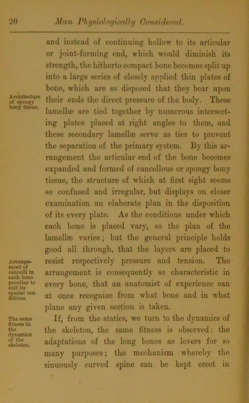 Architecture of spongy bony tissue. Arrange- ment of cancelli in each bone peculiar to suit its special con dition9. The same fitness in the dynamics of the skeleton. and instead of continuing liollow to its articular or joint-forming end, which would diminish its strength, the hitherto compact bone becomes split up into a large series of closely applied thin plates of bone, which are so disposed that they bear upon their ends the direct pressure of the body. These lamellae are tied together by numerous intersect- ing plates placed at right angles to them, and these secondary lamellae serve as ties to prevent the separation of the primary system, By this ar- rangement the articular end of the bone becomes expanded and formed of cancellous or spongy bony tissue, the structure of which at first sight seems so confused and irregular, but displays on closer examination an elaborate plan in the disposition of its every plate. As the conditions under which each bone is placed vary, so the plan of the lamellm varies; but the general principle holds good all through, that the layers are placed to resist respectively pressure and tension. The arrangement is consequently so characteristic in every bone, that an anatomist of experience can at once recognize from what bone and in what plane any given section is taken. If, from the statics, we turn to the dynamics of the skeleton, the same fitness is observed: the adaptations of the long bones as levers for so many purposes; the mechanism whereby the sinuously curved spine can be kept erect in