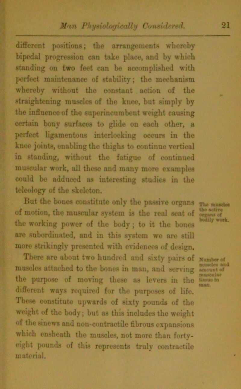 different positions; the arrangements whereby bipedal progression can take place, and by which standing on two feet can be accomplished with perfect maintenance of stability; the mechanism whereby without the constant action of the straightening muscles of the knee, but simply by the influence of the superincumbent weight causing certain bony surfaces to glide on each other, a perfect ligamentous interlocking occurs in the knee joints, enabling the thighs to continue vertical in standing, without the fatigue of continued muscular work, all these and many more examples oould be adduced as interesting studies in the teleology of the skeleton. But the bones constitute only the passive organs of motion, the muscular system is the real seat of the working power of the body; to it the bones are subordinated, and in this system we are still more strikingly presented with evidences of design. There are about two hundred and sixty pairs of muscles attached to the bones in man, and serving the purpose of moving these as levers in the different ways required for the purposes of life. These constitute upwards of sixty pounds of the weight of the body; but as this includes the weight of the sinews and non-con tractile fibrous expansions which ensheath the muscles, not more than forty- eight pounds of this represents truly contractile material. Tbe nnuKie* the MUt« orfuu of bodily work. Number of mutciM end IflKrUnt of msKular tissue in man.