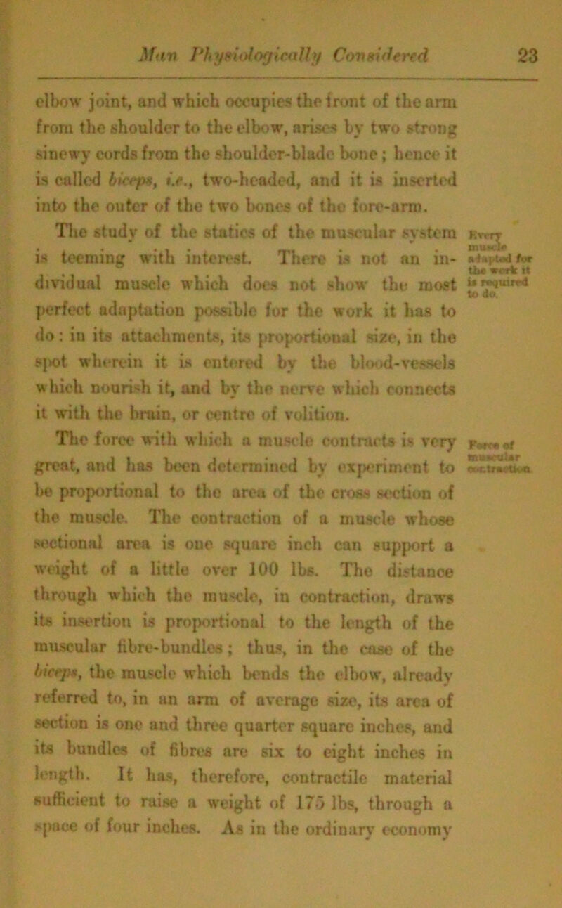 elbow joint, and which occupies the front of the arm from (lie shoulder to the elbow, arises by two strong sinewy cords from the shoulder-blade bone; hence it is called biceps, »>., two-headed, and it is inserted into the outer of the two bones of the fore-arm. The studv of the statics of the muscular system » » is teeming with interest There is not an in- dividual muscle which does not show the most perfect adaptation possible for the work it has to do: in its attachments, its proportional size, in the sj>ot wherein it is entered by the blood-vessels which nourish it, and by the nerve which connects it with the brain, or centre of volition. The force with which a muscle contracts is very great, and has been determined by experiment to he proportional to the area of the cross section of the muscle. The contraction of a muscle whose sectional area is one square inch can support a weight of a little over 100 lbs. The distance through which the muscle, in contraction, draws its insertion is proportional to the length of the muscular fibre*bundles; thus, in the case of the bicep*, the muscle which bends the elbow, already referred to, in an arm of average size, its area of section is one and three quarter square inches, and its bundles of fibres are six to eight inches in length. It has, therefore, contractile material sufficient to raise a weight of 175 lbs, through a space of four inches. As in the ordinary economy Kvrrr in iwlc afur the w<rk it U required to do. Portaet tnuotuUr tor.trertwa