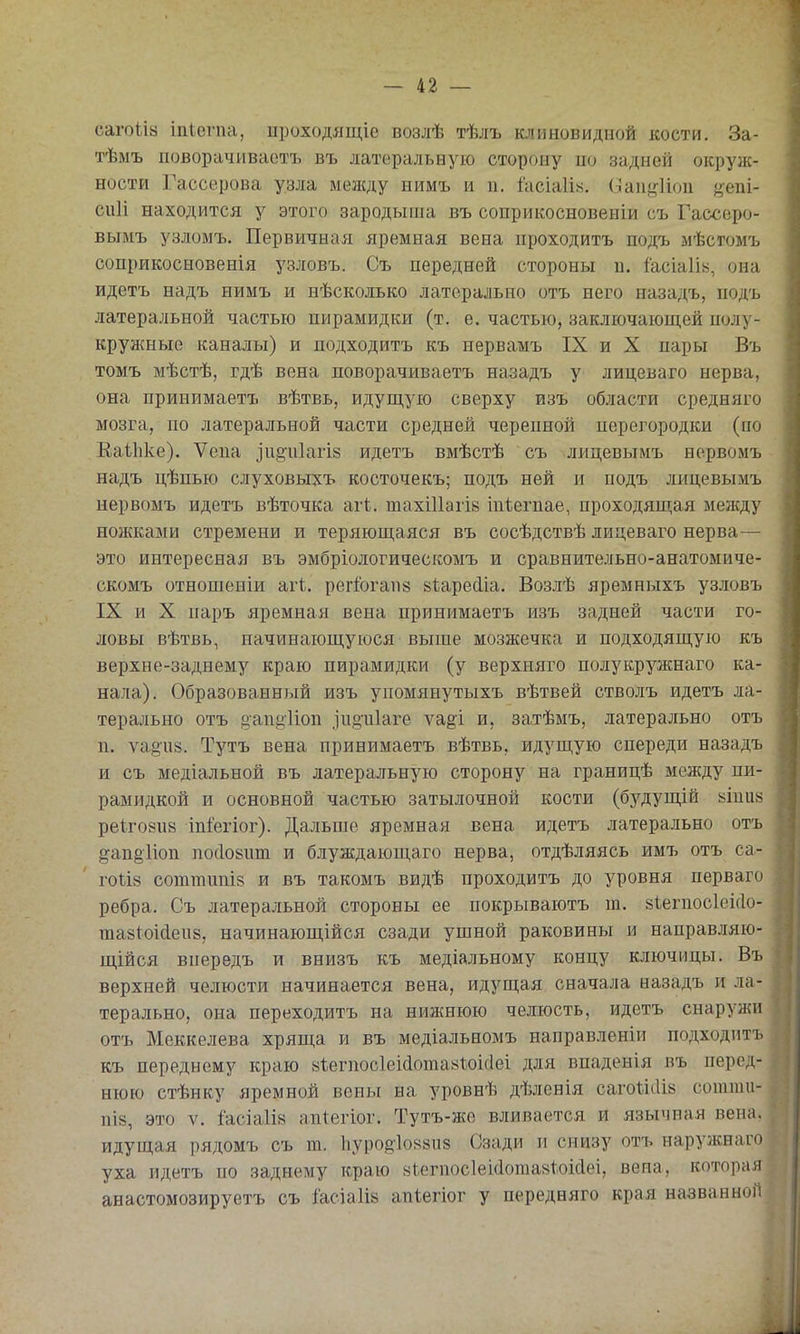 сагоііа іпіегпа, проходлщіе возлѣ тѣлъ клиновидной кости. За- тѣмъ новорачиваетъ въ латеральную сторону но задней окруж- ности Гассерова узла между нимъ и п. Іасіаіін. (эаіі^^ііои уап!- сиіі находится у этого зародыша въ соприкосновеніи съ Гассеро- вымъ узломъ. Первичная яремная вена проходить подъ мѣсгомъ соприкосновенія узловъ. Съ передней стороны п. іасіаіів, она идетъ надъ нимъ и нѣсколько латерально отъ него назадъ, подъ латеральной частью пирамидки (т. е. частью, заключающей полу- круа{ные каналы) и подходитъ къ нервамъ IX и X пары Въ томъ мѣстѣ, гдѣ вена поворачиваетъ назадъ у лицеваго нерва, она принимаетъ вѣтвь, идущую сверху изъ области средяяго мозга, по латеральной части средней черепной перегородки (по Еаиіке). Ѵепа іи§чі1агІ8 идетъ вмѣстѣ съ лицевымъ нервомъ надъ цѣпью слуховыхъ косточекъ; подъ ней и подъ лицевымъ нервомъ идетъ вѣточка агѣ. тахіПагів іпіегпае, проходящая между ножками стремени и теряющаяся въ сосѣдствѣ лицеваго нерва— это интересная въ эмбріологическомъ и сравнительно-анатомиче- скомъ отношеніи агѣ. регГогапз йі^арейіа. Возлѣ яремныхъ узловъ IX и X паръ яремная вена принимаетъ изъ задней части го- ловы вѣтвь, начинающуюся выше мозжечка и подходящую къ верхне-заднему краю пирамидки (у верхняго полукружнаго ка- нала). Образованный изъ упомянутыхъ вѣтвей стволъ идетъ ла- терально отъ §апоііоп ,іи§іі1аге ѵа^і и, затѣмъ, латерально отъ п. ѵа§іі8. Тутъ вена принимаетъ вѣтвь, идущую спереди назадъ и съ медіальной въ латеральную сторону на границѣ между пи- рамидкой и основной частью затылочной кости (будущій 8Іии8 реігойпв іпіегіог). Дальше яремная вена идетъ латерально отъ ^ап§1юп посіовпт и блуждающаго нерва, отдѣляясь имъ отъ са- гоіі» сотгаипіз и въ такомъ видѣ проходитъ до уровня перваго ребра. Съ латеральной стороны ее покрываютъ т. 8Іегпос1еі(Іо- та8І:оісІеи8, начинающійся сзади ушной раковины и направляю- щійся впередъ и внизъ къ медіальному концу ключицы. Въ верхней челюсти начинается вена, идущая сначала назадъ и ла- терально, она переходитъ на нижнюю челюсть, идетъ снаружи отъ Меккелева хряща и въ медіальномъ направленіи подходитъ къ переднему краю 8іегпос1еі(іота8гоі(1еі для впаденія въ перед- нюю стѣнку яремной вены на уровнѣ дѣлснія сагоѣііііа сотит- ПІ8, это V. і'асіа1І8 апіегіог. Тутъ-же вливается и язычная вена, идущая рядомъ съ т. 1іур0ёІ088П8 Сзади и снизу отъ наружнаго уха идетъ по заднему краю 8І,егпос1еі(1ота8І:.оі(іеі, вена, которая анастомозируетъ съ іасіаііз апіегіог у передняго края названноЛ
