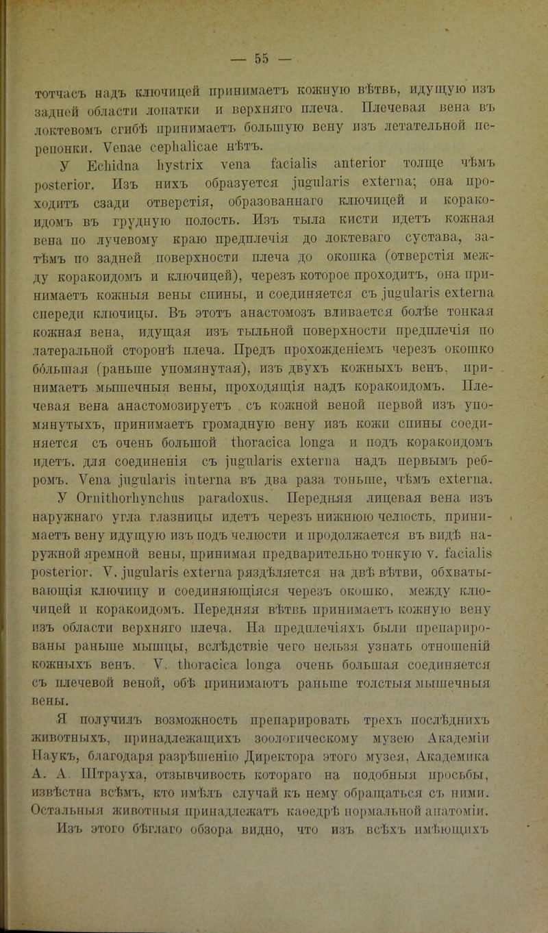 тотчасъ надъ ключицой принимаетъ кожную вѣтвь, идущую изъ задней области лопатки и вѳрхпяго плеча. Плечевая вена въ локтевомъ сгибѣ прииимастъ большую вену изъ летательной пе- репонки. Ѵепае серііаіісае нѣтъ. У ЕсІіШпа І1У8ІГІХ ѵепа ^асіаіі» апіегіог толще чѣмъ ро8Іегіог. Изъ нихъ образуется іи^и1агІ8 ехіегпа; она про- ходитъ сзади отверстія, образованнаго ключицей и корако- идомъ въ грудную полость. Изъ тыла кисти идетъ кожная вена по лучевому краю предплечія до локтеваго сустава, за- тѣмъ по задней поверхности плеча до окошка (отвсрстія меж- ду коракоидомъ и ключицей), черезъ которое проходитъ, она при- нимаетъ коя{ныя вены спины, и соединяется съ іпоиіагіз ехіепіа спереди ключицы. Въ этотъ анастомозъ вливается болѣе тонкая кожная вена, идущая изъ тыльной поверхности предплечія по латеральной сторонѣ плеча. Предъ прохожденіемъ черезъ окошко большая (раньше упомянутая), изъ двухъ кожныхъ венъ, при- нимаетъ мышечныя вены, проходящія надъ коракоидомъ. Пле- чевая вена анастомозируетъ съ кожной веной первой изъ упо- мянутыхъ, принимаетъ громадную вену изъ кожи спины соеди- няется съ очень большой ііюгасіса 1оп§-а и нодъ коракоидомъ идетъ. для соединенія съ зи§и1агІ8 ехіегпа надъ первымъ реб- ромъ. Ѵеиа іпё^иіагій іиіегпа въ два раза тоньше, чѣмъ ехіегиа. У ОгпШіог1іупс1ш8 рагасІохіі8. Передняя лицевая вена изъ наружнаго угла глазницы идетъ черезъ нижнюю челюсть, прини- маетъ вену идущую изъ подъ челюсти и продолжается въ видѣ на- ружной яремной вены, принимая предварительно тонкую ѵ. іасіаіій роаіегіог. V. іпоиіагій ехіегпа ряздѣляется на двѣ вѣтви, обхваты- вающія ключицу и соединяющіяся черезъ окошко, между клю- чицей и коракоидомъ. Передняя вѣтвь принимаетъ кожную вену изъ области верхняго плеча. На предплечіяхь были препариро- ваны раньше мышцы, вслѣдствіе чего нельзя узнать отношеній кожныхъ венъ. V. Июгасіса 1оп;^а очень большая соединяется съ плечевой веной, обѣ принимаютъ раньте толстыя мышечныя пены. Я получилъ возможность препарировать трехъ послѣднихъ животныхъ, принадлежащихъ зоологическому музею Акадсміи ІТаукъ, благодаря разрѣпіенііо Директора этого музея, Академика А. А. Штрауха, отзывчивость котораго на подобні.ія просьбы, извѣстна всѣмъ, кто имѣлъ случай къ нему обратцаться съ ними. Остальиыя животныя принадлсжатъ каѳедрѣ нормальной анатоміи. Изъ этого бѣглаго обзора видно, что изъ всѣхъ имѣющихъ
