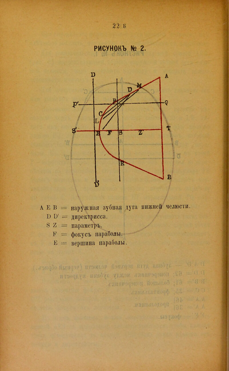 РИСУНОКЪ № 2. ■ р*— у\ 7 Я Т ъ г  5 А Е В = наружная зубная дуга нижней Б О' = директриеоа. 8 2 = параметръ. Г = фокусъ параболы. Е = вершина параболы.