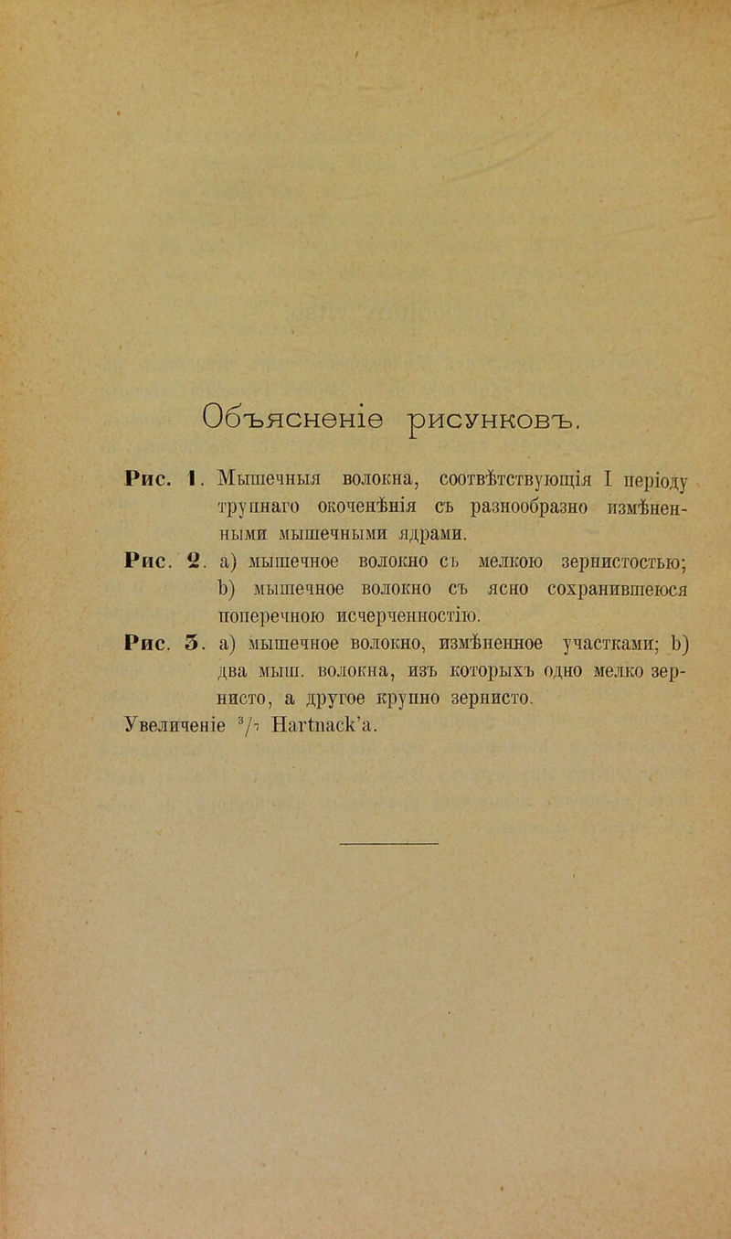 9 Объяснѳніѳ рисунковъ. Рис. I. Мышечныя волокна, соотвѣтствующія I періоду труннаго окоченѣнія съ разнообразно измѣнен- ными мышечными ядрами. Рис. 2. а) мышечное волокно съ мелкою зернистостью; Ъ) мышечное волокно съ ясно сохранившеюся поперечною исчерченностію. Рис. 5. а) мышечное волокно, измѣненное участками; Ь) два мыш. волокна, изъ которыхъ одно мелко зер- нисто, а другое крупно зернисто. Увеличеніе 3/ Нагіпаск'а.