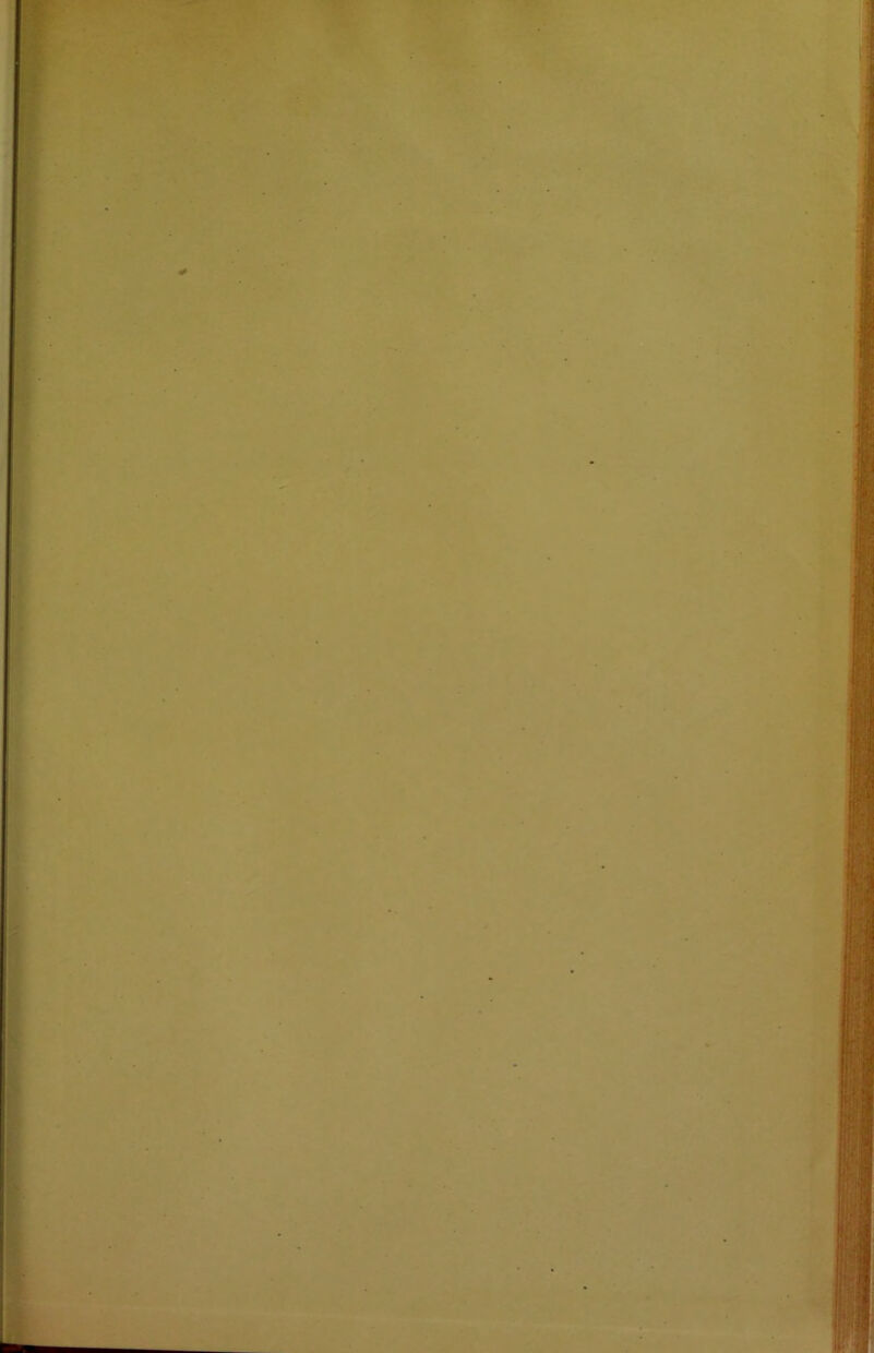 ' • • “і. • » ^ • • .'V /тТ’ '.'Я