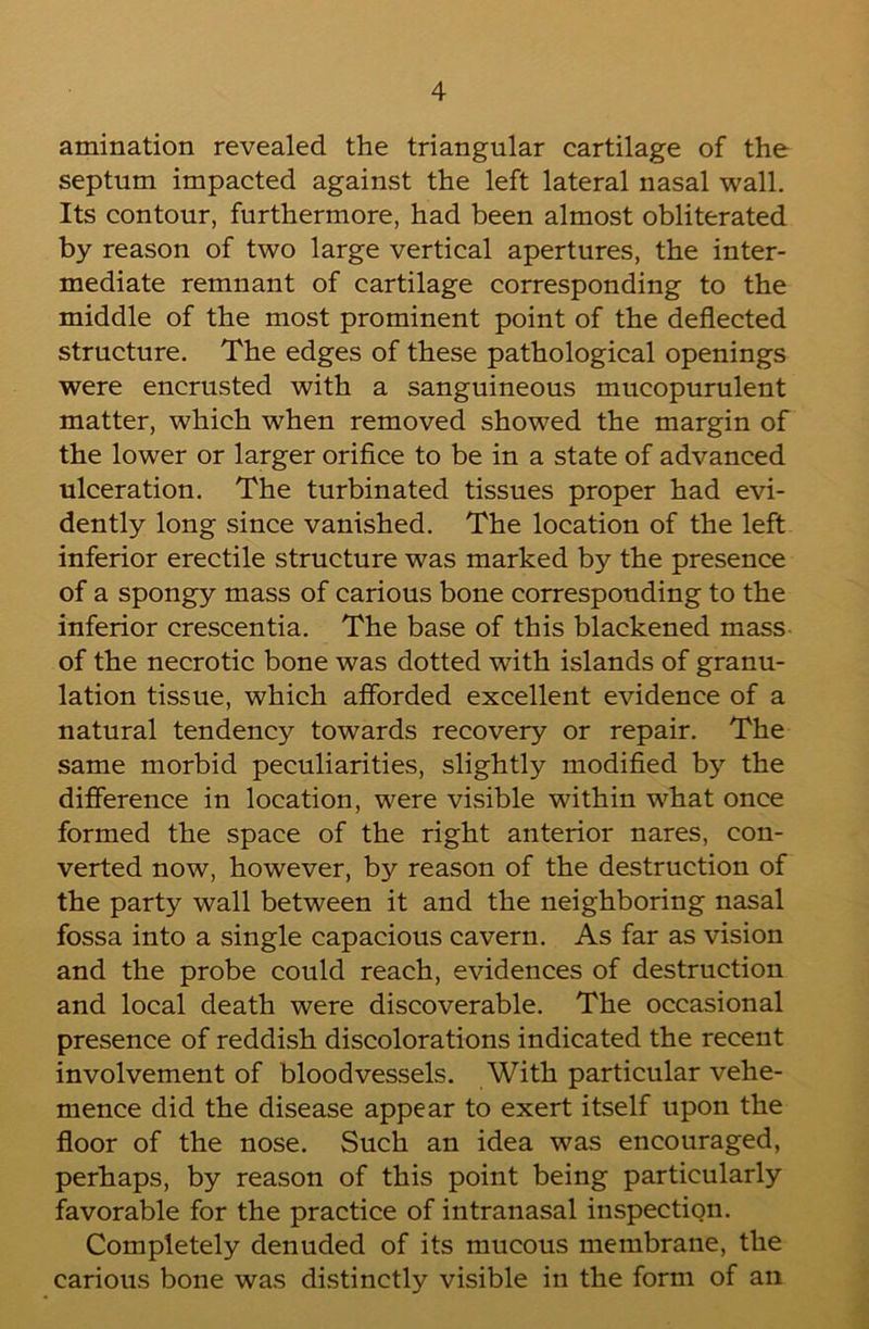 amination revealed the triangular cartilage of the septum impacted against the left lateral nasal wall. Its contour, furthermore, had been almost obliterated by reason of two large vertical apertures, the inter- mediate remnant of cartilage corresponding to the middle of the most prominent point of the deflected structure. The edges of these pathological openings were encrusted with a sanguineous mucopurulent matter, which when removed showed the margin of the lower or larger orifice to be in a state of advanced ulceration. The turbinated tissues proper had evi- dently long since vanished. The location of the left inferior erectile structure was marked by the presence of a spongy mass of carious bone corresponding to the inferior crescentia. The base of this blackened mass of the necrotic bone was dotted with islands of granu- lation tissue, which afforded excellent evidence of a natural tendency towards recovery or repair. The same morbid peculiarities, slightly modified by the difference in location, were visible within what once formed the space of the right anterior nares, con- verted now, however, by reason of the destruction of the party wall between it and the neighboring nasal fossa into a single capacious cavern. As far as vision and the probe could reach, evidences of destruction and local death were discoverable. The occasional presence of reddish discolorations indicated the recent involvement of bloodvessels. With particular vehe- mence did the disease appear to exert itself upon the floor of the nose. Such an idea was encouraged, perhaps, by reason of this point being particularly favorable for the practice of intranasal inspection. Completely denuded of its mucous membrane, the carious bone was distinctly visible in the form of an