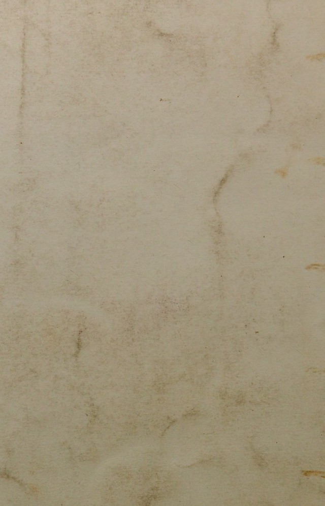 digitised image 2