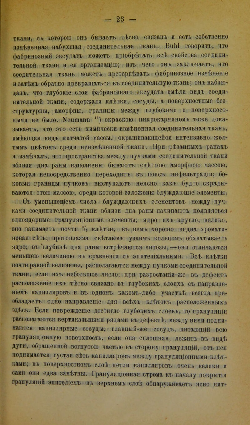 ткани, съ которою онъ бываѳтъ тѣсно связанъ и есть собственно изыѣненнаи набухшая соединительная ткань. Виііі говорить, что фабринозный эксудатъ можетъ пріобрѣтать всѣ свойства соедини- тельной ткани и ея организаций; изъ чего онъ заключаѳтъ, что соедительная ткань можетъ претерпѣвать (фибринозное измѣненіѳ изатѣмъ обратно превращаться въ соединительную ткань; онънаблю- далъ, что глубокіе слои фабринознаго эксудата имѣли видъ соеди- нительной ткани, содержали клѣтки, сосуды, а поверхностные без- структурны, аморфны, границы между глубокими и поверхност- ными не было. Кеигааші 16) окраскою пикрокарминомъ тоже дока- зываешь, что это есть химически измѣненная соединительная ткань, имѣющая видъ нитчатой массы, окрашивающейся интензивно жел- тымъ цвѣтомъ среди неизмѣненной ткани. При рѣзанныхъ ранахъ и .тмьчалъ, что пространства между пучками соединительной ткани вблизи дна раны наполнены бываютъ свѣтюю аморфною массою, которая непосредственно перѳходитъ въ пояеъ нифильтраціи; бо- ковыя границы пучковъ выступаютъ неясно какъ будто скрады- ваются этою массою, среди которой заложены блуждающіе элементы. -.ІкѲъ уменынеціемъ числа блуждающихъ элементовъ между пуч- ками соединительной ткани вблизи дна раны иачинаютъ появляться одноядерные грануляціонные элементы; ядро ихъ кругло, велико, оно занимаетъ почти 7» клѣтки, въ немъ хорошо видна хромати- новая сѣть; протоплазма свѣтлымъ узкимъ кольцомъ обхватываетъ ядро; въ'глубинѣ дна раны встрѣчаются митозы, — они отличаются меньшею величиною въ сравненіи еъ эпителіальными. Всѣ клѣткн почти равной величины, располагаются между пучками соединительной ткани, если ихъ небольшое число; при разростаніи-же въ дефектъ расположеніе ихъ тѣсно связано въ глубокихъ слояхъ съ направле- ніемъ капилляровъ и въ одномъ какомъ-либо участкѣ всегда пре- обладаете одпо направленіе для всѣхъ клѣтокъ расположенныхъ здѣсь. Если поврежденіѳ достигло глубокихъ слоевъ, то грануляцін располагаются вертикальными рядами въдефектѣ, между ними подни- маются капиллярные сосуды; главный-же сосудъ, питающій всю грануляцюнную поверхность, если она сплошная, лежитъ въ видѣ дуги, обрашенпой вогнутою частью въ сторону грануляцій, отъ нея поднимается густая сѣть капилляровъ между грануляціоипыми клѣт- ками; въ повѳрхностномъ слоѣ петли капилляровъ очень велики и сами они едва замѣтпы. Грануляціоиная строма къ началу покрытія грануляній энителіемъ въ верхнемъ слоѣ обнаруживаешь ясно нит-