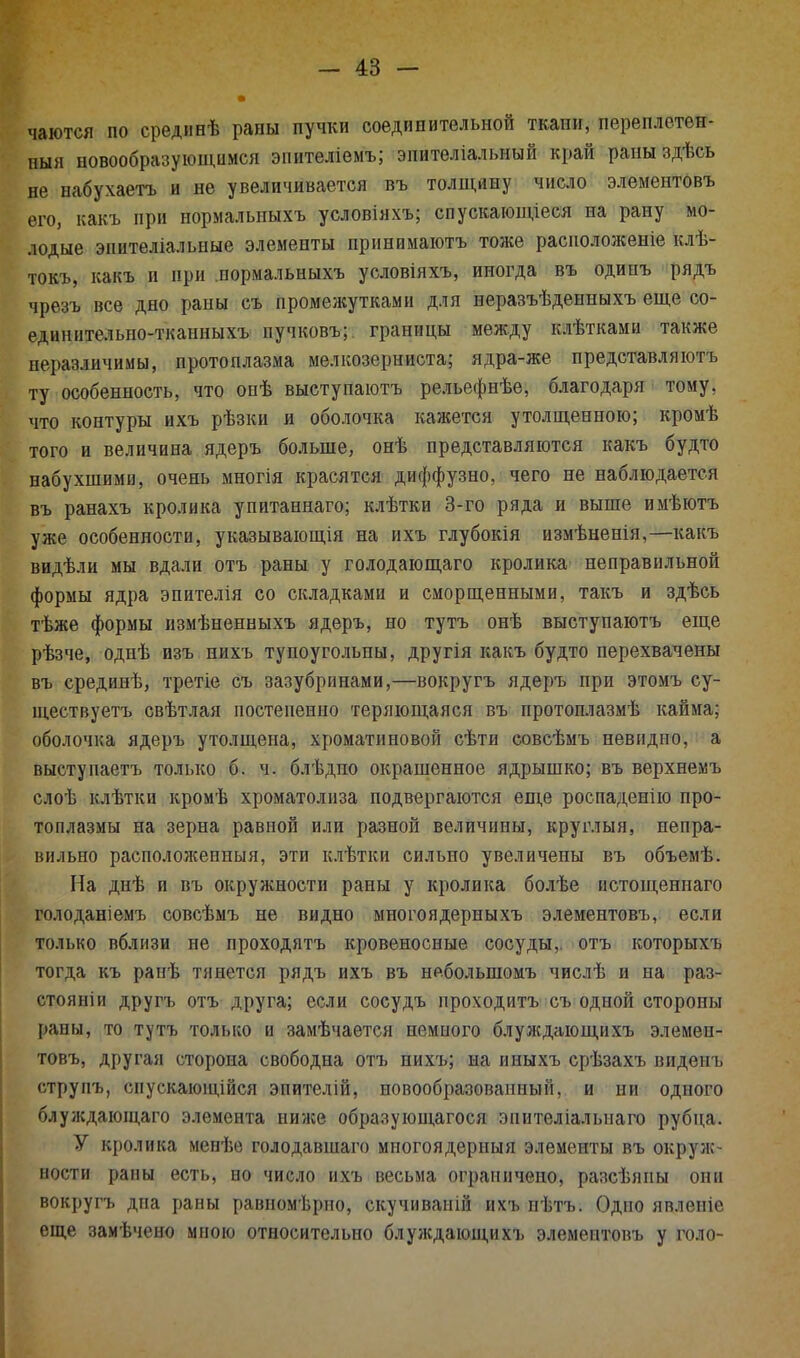 чаются по срединѣ раны пучки соединительной ткани, переплетен- ный новообразующимся эпителіемъ; энителіалышй край раны здѣсь не набухаетъ и не увеличивается въ толщину число элементовъ его, какъ при нормалышхъ условіяхъ; спускающіеся на рану мо- лодые эиителіальные элементы принимаютъ тоже расиоложеніе клѣ- токъ, какъ и при .пормальныхъ условіяхъ, иногда въ одшп. рядъ чрезъ все дно раны съ промежутками для неразъѣденныхъ еще со- едпнителыю-тканныхъ иучковъ; границы между клѣтками также неразличимы, протоплазма мелкозерниста; ядра-же представляютъ ту особенность, что оиѣ выступаютъ рельефнѣе, благодаря тому, что контуры ихъ рѣзки и оболочка кажется утолщенною; кромѣ того и величина ядеръ больше, онѣ представляются какъ будто набухшими, очень многія красятся диффузно, чего не наблюдается въ ранахъ кролика упитаннаго; клѣтки 3-го ряда и выше имѣютъ уже особенности, указывающія на ихъ глубокія измѣненія,—какъ видѣли мы вдали отъ раны у голодающаго кролика неправильной формы ядра эпителія со складками и сморщенными, такъ и здѣсь тѣже формы измѣненныхъ ядеръ, но тутъ онѣ выступаютъ еще рѣзче, одиѣ изъ нихъ тупоугольны, другія какъ будто перехвачены въ средипѣ, третіе съ зазубринами,—вокругъ ядеръ при этомъ су- ществуетъ свѣтлая постепенно теряющаяся въ протоплазмѣ кайма; оболочка ядеръ утолщена, хроматиновой сѣти совсѣмъ невидно, а выступаетъ только б. ч. блѣдпо окрашенное ядрышко; въ верхнемъ слоѣ клѣтки кромѣ хроматолиза подвергаются еще роспаденію про- топлазмы на зерна равной или разной величины, круглый, непра- вильно расположенный, эти клѣтки сильно увеличены въ объеме. На днѣ и въ окружности раны у кролика болѣе истощеннаго голоданіемъ совсѣмъ не видно многоядерныхъ элементовъ, если только вблизи не проходятъ кровеносные сосуды,, отъ которыхъ тогда къ ранѣ тянется рядъ ихъ въ нр.большомъ числѣ и на раз- стояніи другъ отъ-друга; если сосудъ проходитъ съ одной стороны раны, то тутъ только и замѣчается немного блуждающихъ элемен- товъ, другая сторона свободна отъ нихъ; на иныхъ срѣзахъ виденъ струпъ, спускающійся эпителій, новообразованный, и ни одного блуждающаго элемента ниже образующегося энителіалыіаго рубца. У кролика менѣе голодавшаго мпогоядерныя элементы въ окруж- ности раны есть, но число ихъ весьма ограничено, разсѣяны они вокругъ дна раны равномѣрпо, скучиваній ихъ нѣтъ. Одпо явленіе еще замѣчено мною относительно блуждающихъ элементовъ у голо-