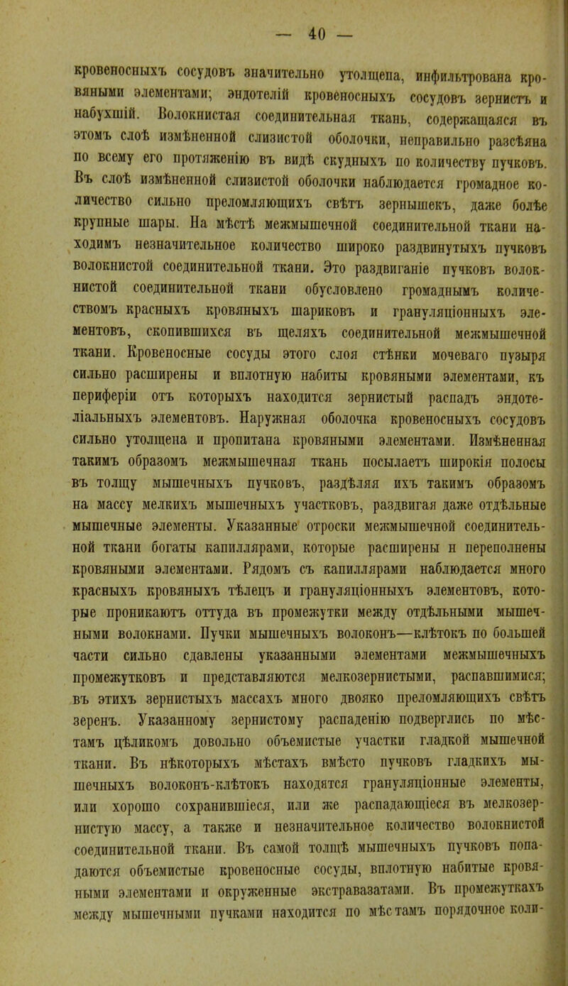 кровеносныхъ сосудовъ значительно утолщена, инфильтрована кро- вяными элементами; эндотелій кровеносныхъ сосудовъ зернисть и набухшій. Волокнистая соединительная ткань, содержащаяся въ этомъ слоѣ измѣненной слизистой оболочки, неправильно разсѣяна по всему его протяженію въ видѣ скудныхъ по количеству пучковъ. Въ слоѣ измѣненной слизистой оболочки наблюдается громадное ко- личество сильно преломляющихъ свѣтъ зернышекъ, даже болѣе крупные шары. На мѣстѣ межмышечной соединительной ткани на- ходймъ незначительное количество широко раздвинутыхъ пучковъ волокнистой соединительной ткани. Это раздвиганіе пучковъ волок- нистой соединительной ткани обусловлено громаднымъ количе- ствомъ красныхъ кровяныхъ шариковъ и грануляціонныхъ эле- ментовъ, скопившихся въ щеляхъ соединительной межмышечной ткани. Кровеносные сосуды этого слоя стѣнки мочеваго пузыря сильно расширены и вплотную набиты кровяными элементами, къ периферіи отъ которыхъ находится зернистый распадъ эндоте- ліальныхъ элементовъ. Наружная оболочка кровеносныхъ сосудовъ сильно утолщена и пропитана кровяными элементами. Измѣненная такимъ образомъ межмышечная ткань посылаетъ широкія полосы въ толщу мышечныхъ пучковъ, раздѣляя ихъ такимъ образомъ на массу мелкихъ мышечныхъ участковъ, раздвигая даже отдѣльные мышечные элементы. Указанные отроски межмышечной соединитель- ной ткани богаты капиллярами, которые расширены н переполнены кровяными элементами. Рядомъ съ капиллярами наблюдается много красныхъ кровяныхъ тѣлецъ и грануляціонныхъ элементовъ, кото- рые проникаютъ оттуда въ промежутки между отдѣльными мышеч- ными волокнами. Нучки мышечныхъ волоконъ—клѣтокъ по большей части сильно сдавлены указанными элементами межмышечныхъ промежутковъ и представляются мелкозернистыми, распавшимися; въ этихъ зернистыхъ массахъ много двояко преломляющихъ свѣтъ зеренъ. Указанному зернистому распаденію подверглись по мѣс- тамъ цѣликомъ довольно объемистые участки гладкой мышечной ткани. Въ нѣкоторыхъ мѣстахъ вмѣсто пучковъ гладкихъ мы- шечныхъ волоконъ-клѣтокъ находятся грануляціонные элементы, или хорошо сохранившіеся, или л«е распадающіеся въ мелкозер- нистую массу, а такл^е и незначительное количество волокнистой соединительной ткани. Въ самой толщѣ мышечныхъ пучковъ попа- даются объемистые кровеносные сосуды, вплотную набитые кровя- ными элементами и окруженные экстравазатами. Въ промежуткахъ между мышечными пучками находится по мѣстамъ порядочное коли-