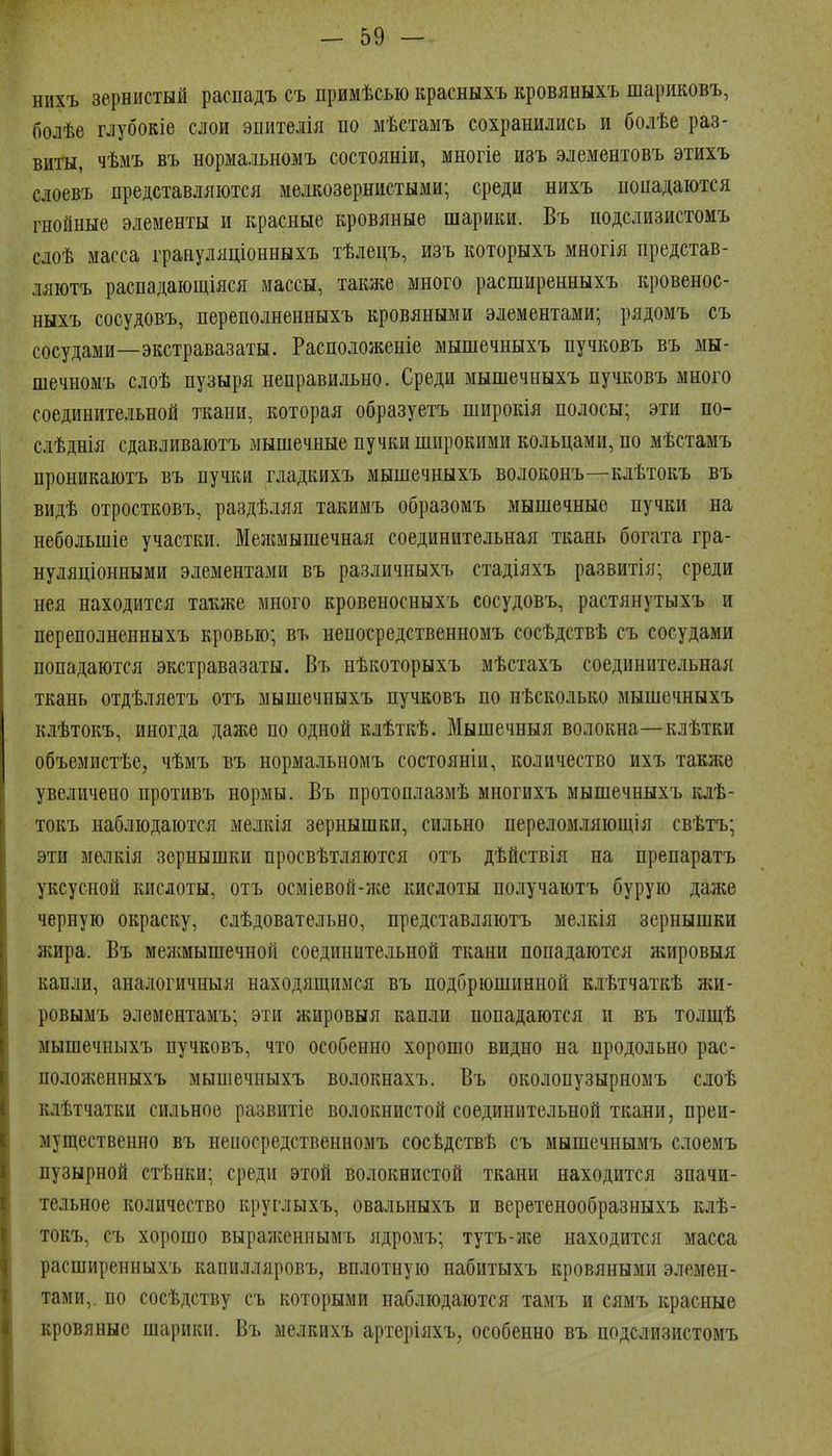 нихъ зернистый распадъ съ примѣсью красныхъ кровяныхъ шариковъ, болѣе глубокіе слои эпителія по мѣстамъ сохранились и болѣе раз- вит, чѣмъ въ нормальномъ состояніи, многіе изъ элементовъ этихъ слоевъ представляются мелкозернистыми; среди нихъ попадаются гнойные элементы и красные кровяные шарики. Въ подслизистомъ слоѣ масса грануляціонныхъ тѣлецъ, изъ которыхъ многія представ- ляютъ распадающіяся массы, также много расширенныхъ кровенос- ныхъ сосудовъ, переполненныхъ кровяными элементами; рядомъ съ сосудами—экстравазаты. Расположеніе мышечныхъ пучковъ въ мы- шечномъ слоѣ пузыря неправильно. Среди мышечныхъ пучковъ много соединительной ткани, которая образуетъ широкія полосы; эти по- сдѣднія сдавливаютъ мышечные пучки широкими кольцами, по мѣстамъ проникаютъ въ пучки гладкихъ мышечныхъ волоконъ—клѣтокъ въ видѣ отростковъ, раздѣляя такимъ образомъ мышечные пучки на небольшіе участки. Межмышечная соединительная ткань богата гра- нуляціоиными элементами въ различныхъ стадіяхъ развитія; среди нея находится также много кровеносныхъ сосудовъ, растянутыхъ и переполненныхъ кровью; въ непосредственномъ сосѣдствѣ съ сосудами попадаются экстравазаты. Въ нѣкоторыхъ мѣстахъ соединительная ткань отдѣляетъ отъ мышечныхъ пучковъ по пѣсколько мышечныхъ клѣтокъ, иногда даже по одной клѣткѣ. Мышечныя волокна—клѣтки объемистѣе, чѣмъ въ нормальномъ состояніи, количество ихъ таюке увеличено противъ нормы. Въ протоплазмѣ многихъ мышечныхъ клѣ- токъ наблюдаются мелкія зернышки, сильно переломляющія свѣтъ; эти мелкія зернышки просвѣтляются отъ дѣйствія на препаратъ уксусной кислоты, отъ осміевой-же кислоты получаютъ бурую даже черную окраску, слѣдовательно, представляютъ мелкія зернышки жира. Въ мелшышечной соединительной ткани попадаются жировыя капли, аналогичныя находящимся въ подбрюшинной клѣтчаткѣ жи- ровымъ элементамъ; эти жировыя капли попадаются и въ толщѣ мышечныхъ пучковъ, что особенно хорошо видно на продольно рас- пололѵенныхъ мышечныхъ волокнахъ. Въ околопузырномъ слоѣ клѣтчатки сильное развитіе волокнистой соединительной ткани, преи- мущественно въ непосредственномъ сосѣдствѣ съ мышечнымъ слоемъ пузырной стѣнки; среди этой волокнистой ткани находится значи- тельное количество круглыхъ, овальныхъ и веретенообразныхъ клѣ- токъ, съ хорошо выраженнымъ ядромъ; тутъ-же находится масса расширенныхъ капилляровъ, вплотную набитыхъ кровяными элемен- тами,, по сосѣдству съ которыми наблюдаются тамъ и сямъ красные кровяные шарики. Въ мелкихъ артеріяхъ, особенно въ подслизистомъ