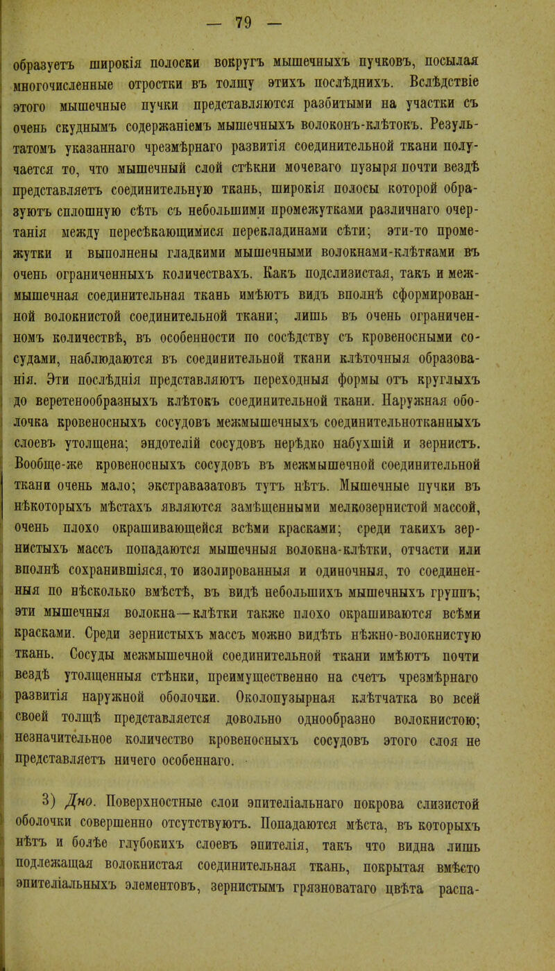 образуѳгь широкія полоски вокругъ мышѳчныхъ пучковъ, посылая многочисленные отростки въ толшу этихъ послѣднихъ. Вслѣдствіе этого мышечные пучки представляются разбитыми на участки съ очень скуднымъ содержаніемъ мышечныхъ волоконъ-клѣтокъ. Резуль- татомъ указаннаго чрезмѣрнаго развитія соединительной ткани полу- чается то, что мышечный слой стѣкни мочеваго пузыря почти вездѣ представляетъ соединительную ткань, широкія полосы которой обра- вуютъ сплошную сѣть съ небольшими промежутками различнаго очер- танія между пересѣкающимися перекладинами сѣти; эти-то проме- жутки и выполнены гладкими мышечными волокнами-клѣтками въ очень ограниченныхъ количествахъ. Какъ подслизистая, такъ и меж- мышечная соединительная ткань имѣютъ видъ вполнѣ сформирован- ной волокнистой соединительной ткани; лишь въ очень ограничен- номъ количествѣ, въ особенности по сосѣдству съ кровеносными со- судами, наблюдаются въ соединительной ткани клѣточныя образова- нія. Эти послѣднія представляютъ переходныя формы отъ круглыхъ до веретенообразныхъ клѣтокъ соединительной ткани. Наружная обо- лочка кровеносныхъ сосудовъ межмышечныхъ соединительнотканныхъ слоевъ утолщена; эндотелій сосудовъ нерѣдко набухшій и зернистъ. Вообще-же кровеносныхъ сосудовъ въ межмышечной соединительной ткани очень мало; экстравазатовъ тутъ нѣтъ. Мышечные пучки въ нѣкоторыхъ мѣстахъ являются замѣщенными мелкозернистой массой, очень плохо окрашивающейся всѣми красками; среди такихъ зер- нистыхъ массъ попадаются мышечныя волокна-клѣтки, отчасти или Бполнѣ сохранившіяся, то изолированныя и одиночныя, то соединен- ныя по нѣсколько вмѣстѣ, въ видѣ небольшихъ мышечныхъ группъ; эти мышечныя волокна—клѣтки также плохо окрашиваются всѣми красками. Среди зернистыхъ массъ можно видѣть нѣжно-волокнистую ткань. Сосуды меншышечной соединительной ткани имѣютъ почти вездѣ утолщенныя стѣнки, преимущественно на счетъ чрезмѣрнаго развитія наружной оболочки. Околопузырная клѣтчатка во всей своей толщѣ представляется довольно однообразно волокнистою; незначительное количество кровеносныхъ сосудовъ этого слоя не представляетъ ничего особеннаго. 3) Дно. Поверхностные слои эпителіальнаго покрова слизистой оболочки совершенно отсутствуютъ. Попадаются мѣста, въ которыхъ нѣтъ и болѣе гдубокихъ слоевъ эпителія, такъ что видна лишь подлежащая волокнистая соединительная ткань, покрытая вмѣсто эпителіальныхъ элементовъ, зернистымъ грязноватаго цвѣта распа-
