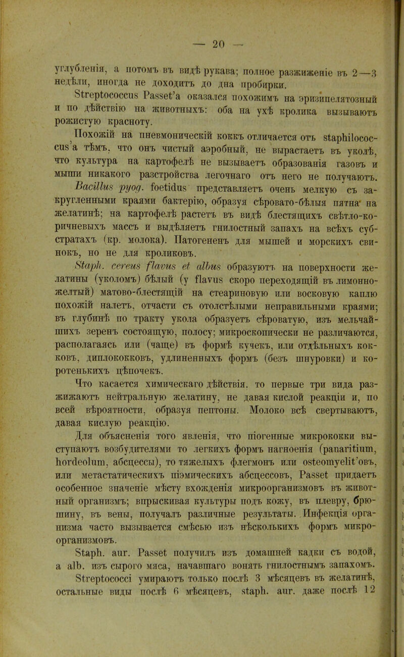 углубленія, а нотомъ въ видѣ рукава; полное разжиженіе въ 2—3 недѣли, иногда не доходитъ до дна пробирки. 81хер(;ососси8 РаззеЪ'а оказался похожимъ на эризипелятозный и по дѣйствію на животныхъ: оба на ухѣ кролика вызываютъ рожистую красноту. ^ Похожій на пневмоническій коккъ отличается оте зіарпііосос- сш'а тѣмъ, что онъ чистый аэробный, не вырастаете въ уколѣ, что культура на картофелѣ не вызываетъ образованія газовъ и мыши никакого разстройства легочнаго отъ него не получаютъ. ВасіЫиз руод. іоеШиз представляетъ очень мелкую съ за- кругленными краями бактерію, образуя сѣровато-бѣлыя пятна на желатинѣ; на картофелѣ растетъ въ видѣ блестящихъ свѣтло-ко- ричневыхъ массъ и выдѣляетъ гнилостный запахъ на всѣхъ суб- стратахъ (кр. молока). Патогененъ для мышей и морскихъ сви- нокъ, но не для кроликовъ. 8іарк. сегеиз (Іаѵгіз еі аІЪиз образуютъ на поверхности же- латины (уколомъ) бѣлый (у Паѵиз скоро переходящій въ лимонно- желтый) матово-блестящій на стеариновую или восковую каплю похожій налетъ, отчасти съ отолстѣлыми неправильными краями; въ глубинѣ по тракту укола образуете сѣроватую, изъ мельчай- шихъ зеренъ состоящую, полосу; микроскопически не различаются, располагаясь или (чаще) въ формѣ кучекъ, или отдѣльныхъ кок- ковъ, диплококковъ, удлиненныхъ формъ (безъ шнуровки) и ко- ротенькихъ цѣпочекъ. Что касается химическаго дѣйствія. то первые три вида раз- жижаютъ нейтральную желатину, не давая кислой реакціи и, по всей вѣроятности, образуя пептоны. Молоко всѣ свертываютъ, давая кислую реакцію. Для объясненія того явленія, что піогенные микрококки вы- ступаютъ возбудителями то легкихъ формъ нагноенія (рапагіішт, погйеоішп, абсцессы), то тяжелыхъ флегмонъ или оз^еотуеШ'овъ, или метастатическихъ піэмическихъ абсцессовъ, Раззеі придаете особенное значеніе мѣсту вхожденія микроорганизмовъ въ живот- ный организмъ; впрыскивая культуры подъ кожу, въ плевру, брю- шину, въ вены, получалъ различные результаты. Инфекція орга- низма часто вызывается смѣсью изъ нѣсколькихъ формъ микро- организмовъ. 8іарп. аиг. Ра88е1; получилъ изъ домашней кадки съ водой, а аГЬ. изъ сырого мяса, начавшаго вонять гнилостнымъ запахомъ. Вітеріососсі умираютъ только послѣ 3 мѣсяцевъ въ желатинѣ, остальные виды послѣ в мѣсяцевъ, яѣаріі. аиг. даже послѣ 12