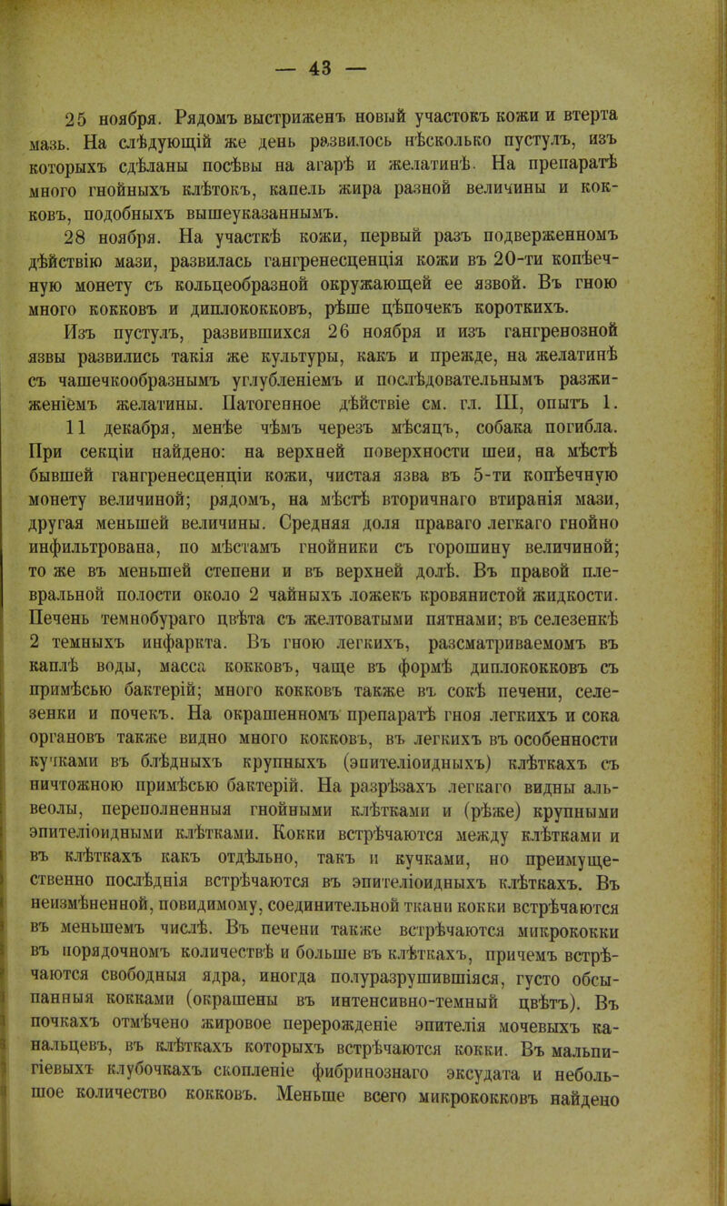 25 ноября. Рядомъ выстриженъ новый участокъ кожи и втерта мазь. На слѣдующій же день развилось нѣсколько пустулъ, изъ которыхъ сдѣланы посѣвы на агарѣ и желатинѣ. На препаратѣ много гнойныхъ клѣтокъ, капель жира разной величины и кок- ковъ, подобныхъ вышеуказаннымъ. 28 ноября. На участкѣ кожи, первый разъ подверженномъ дѣйствію мази, развилась гангренесценція кожи въ 20-ти копѣеч- ную монету съ кольцеобразной окружающей ее язвой. Въ гною много кокковъ и диплококковъ, рѣше цѣпочекъ короткихъ. Изъ пустулъ, развившихся 26 ноября и изъ гангренозной язвы развились такія же культуры, какъ и прежде, на желатинѣ съ чашечкообразнымъ углубленіемъ и послѣдовательнымъ разжи- женіемъ желатины. Патогенное дѣйствіе см. гл. III, опытъ 1. 11 декабря, менѣе чѣмъ черезъ мѣсяцъ, собака погибла. При секціи найдено: на верхней поверхности шеи, на мѣстѣ бывшей гангренесценціи кожи, чистая язва въ 5-ти копѣечную монету величиной; рядомъ, на мѣстѣ вторичнаго втиранія мази, другая меньшей величины. Средняя доля праваго легкаго гнойно инфильтрована, по мѣстамъ гнойники съ горошину величиной; то же въ меньшей степени и въ верхней долѣ. Въ правой пле- вральной полости около 2 чайныхъ ложекъ кровянистой жидкости. Печень темнобураго цвѣта съ желтоватыми пятнами; въ селезенкѣ 2 темныхъ инфаркта. Въ гною легкихъ, разсматриваемомъ въ каплѣ воды, масса кокковъ, чаще въ формѣ диплококковъ съ примѣсью бактерій; много кокковъ также въ сокѣ печени, селе- зенки и почекъ. На окрашенномъ препаратѣ гноя легкихъ и сока органовъ также видно много кокковъ, въ легкихъ въ особенности кучками въ блѣдныхъ крупныхъ (эпителіоидныхъ) клѣткахъ съ ничтожною примѣсью бактерій. На разрѣзахъ легкаго видны аль- веолы, переполненныя гнойными клѣткаші и (рѣже) крупными эпителіоидными клѣтками. Кокки встрѣчаются между клѣтками и въ клѣткахъ какъ отдѣльно, такъ и кучками, но преимуще- ственно послѣднія встрѣчаются въ эпителіоидныхъ клѣткахъ. Въ неизмѣнениой, повидимому, соединительной ткани кокки встрѣчаются въ меньшемъ числѣ. Въ печени также встрѣчаются микрококки въ норядочномъ количествѣ и больше въ клѣткахъ, причемъ встрѣ- чаются свободныя ядра, иногда полуразрушившіяся, густо обсы- панныя кокками (окрашены въ интенсивно-темный цвѣтъ). Въ почкахъ отмѣчено жировое перерожденіе эпителія мочевыхъ ка- нал ьцевъ, въ клѣткахъ которыхъ встрѣчаются кокки. Въ мальпи- гіевыхъ клубочкахъ скопленіе фибринознаго эксудата и неболь- шое количество кокковъ. Меньше всего микрококковъ найдено 1