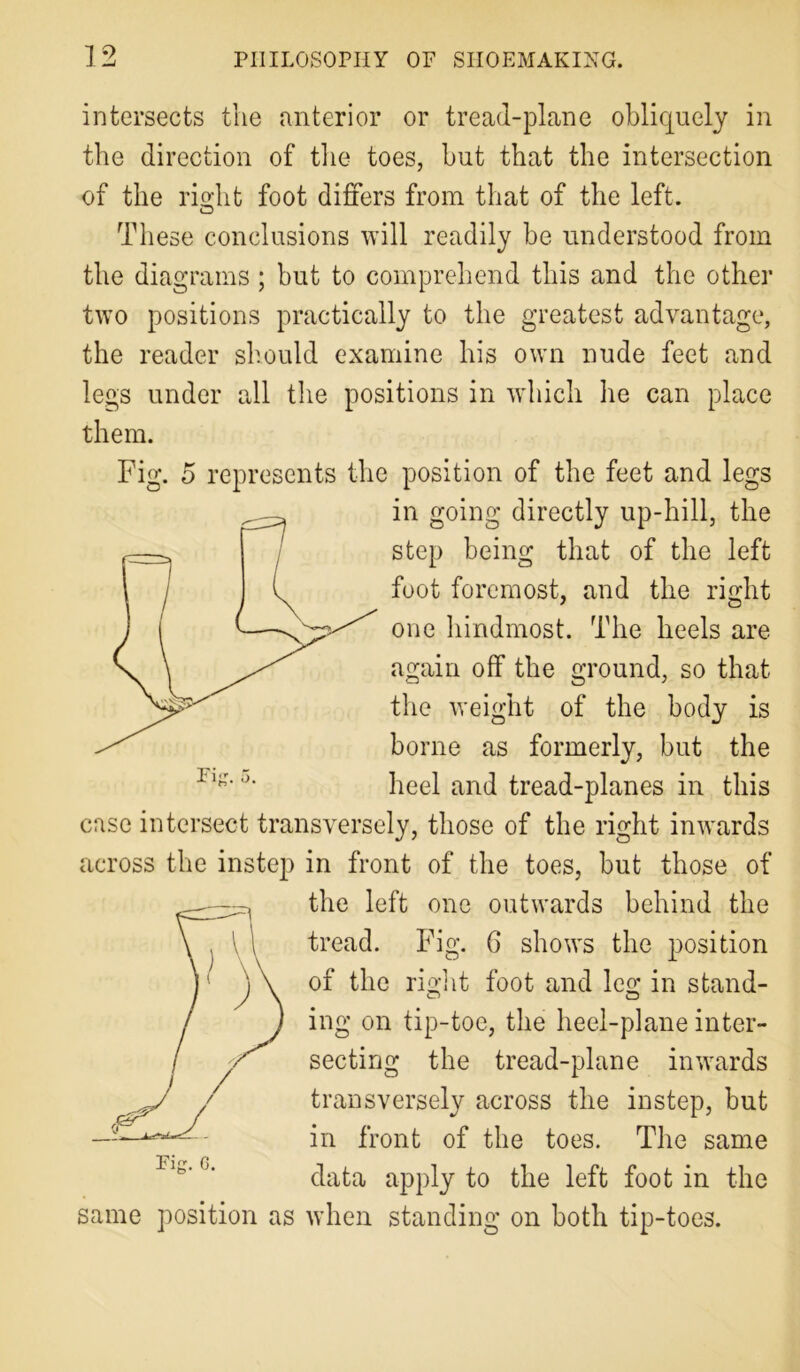 intersects the anterior or tread-plane obliquely in the direction of the toes, but that the intersection of the right foot differs from that of the left. These conclusions will readily be understood from the diagrams; but to comprehend this and the other two positions practically to the greatest advantage, the reader should examine his own nude feet and legs under all the positions in which he can place them. Fig. 5 represents the position of the feet and legs in going directly up-hill, the step being that of the left foot foremost, and the right one hindmost. The heels are again off the ground, so that the weight of the body is borne as formerly, but the heel and tread-planes in this case intersect transversely, those of the right inwards across the instep in front of the toes, but those of the left one outwards behind the tread. Fig. 6 shows the position of the right foot and leg in stand- ing on tip-toe, the heel-plane inter- secting the tread-plane inwards transversely across the instep, but in front of the toes. The same data apply to the left foot in the same position as when standing on both tip-toes.