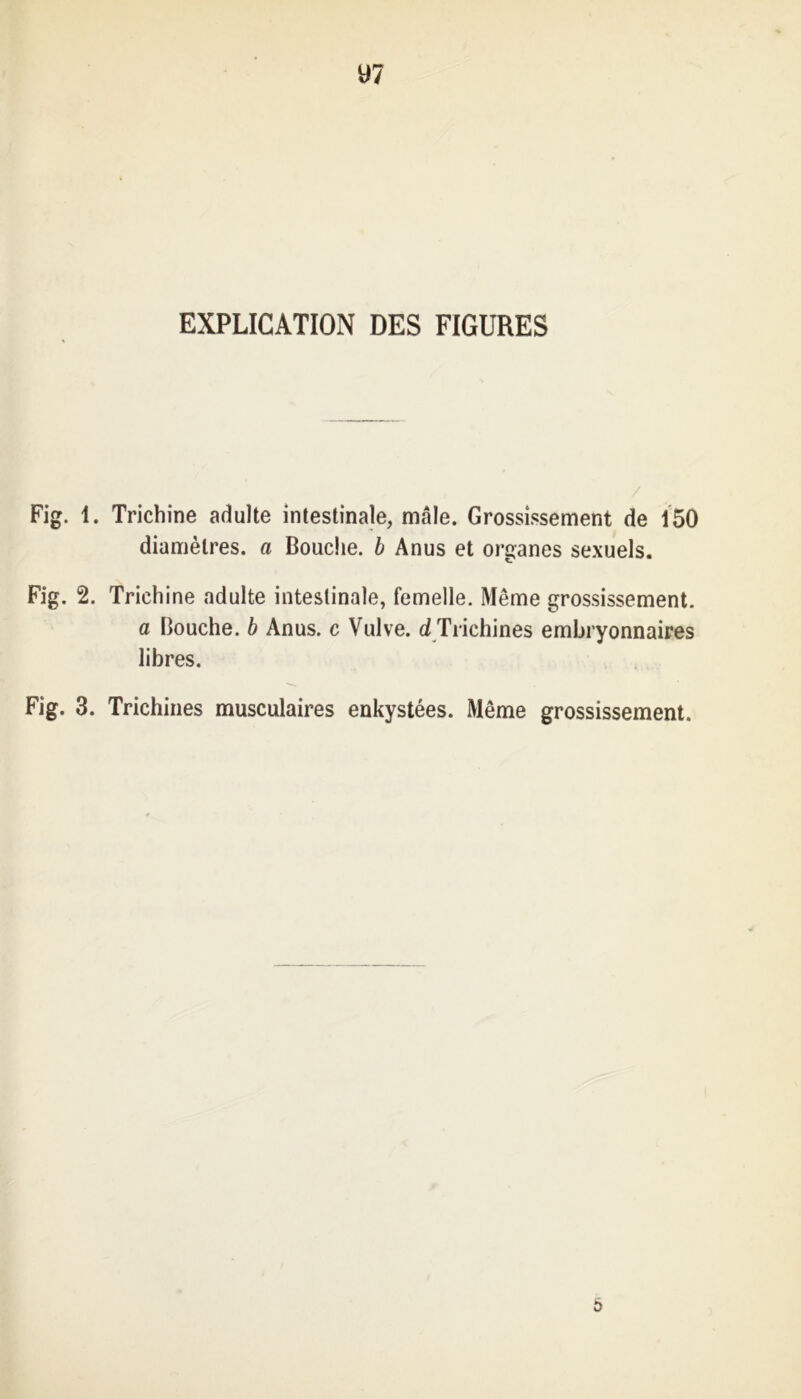 Fig. 1. Trichine adulte intestinale, mâle. Grossissement de 150 diamètres, a Bouche, b Anus et organes sexuels. Fig. 2. Trichine adulte intestinale, femelle. Même grossissement. a Bouche, b Anus, c Vulve, d Trichines embryonnaires libres. Fig. 3. Trichines musculaires enkystées. Même grossissement. 6