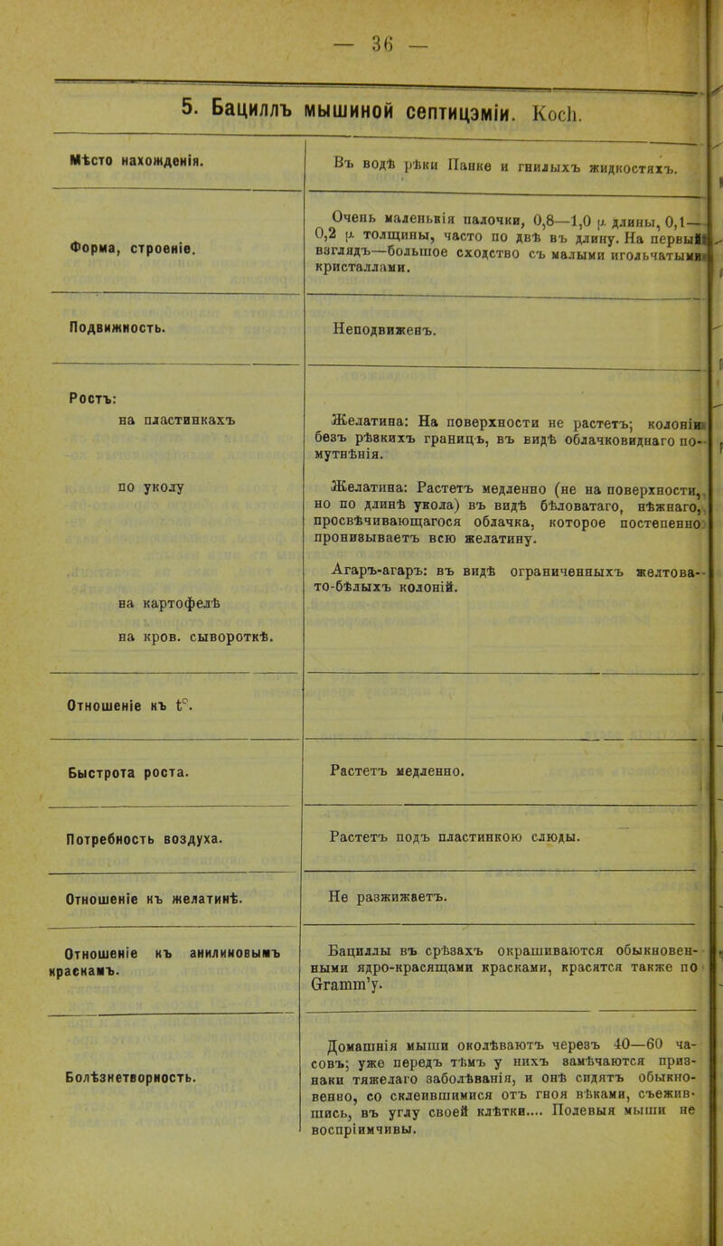 5. Бациллъ мышиной септицэміи. Косіі. Мѣсто нахожденія. Форма, строеніе. Подвижность. Ростъ: на пластинкахъ по уколу на картофедѣ на кров, сывороткѣ. Въ водѣ рѣки Панке и гнилыхъ жидкостяхъ. Очень маленьвія палочки, 0,8—1,0 \>. длины, 0,1 — 0,2 |а толщины, часто по двѣ въ длину. Па нервы!» ваглядъ—большое сходство съ малыми игольчатыми! кристаллами. Неподвиженъ. Желатина: На поверхности не растетъ; колоніні бѳзъ рѣвкихъ границь, въ видѣ облачковиднаго по мутнѣнія. Желатина: Растетъ медленно (не на поверхности,, но по длинѣ укола) въ видѣ бѣловатаго, нѣжнаго,, просвѣчивающагося облачка, которое постепенно) пронивываетъ всю желатину. Агаръ-агаръ: въ видѣ ограниченныхъ жѳлтова- то-бѣлыхъ колоній. Отношеніе нъ 1°. Быстрота роста. Растетъ медленно. Потребность воздуха. Растетъ подъ пластинкою слюды. Отношеніе къ желатинѣ. Не разжижаетъ. Отношеніе къ анилиновымъ нраенамъ. Бациллы въ срѣзахъ окрашиваются обыкновен- ными ядро-красящами красками, красятся также по Сггашш'у. Болѣзнетворность. Домашнія мыши околѣваютъ черевъ 40—60 ча- совъ; уже передъ тѣмъ у нихъ вамѣчаются приз- наки тяжелаго заболѣванія, и онѣ сидятъ обыкно- венно, со склеившимися отъ гноя вѣками, съежив» шись, въ углу своей клѣтки.... Полевыя мыши не воспріимчивы.