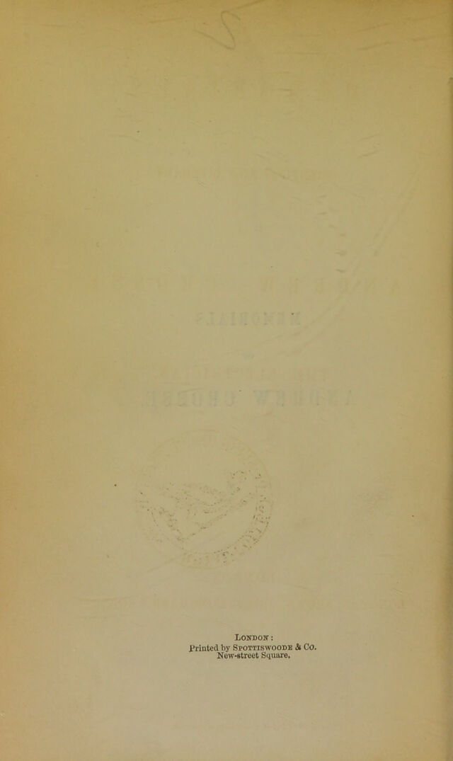 digitised image 2
