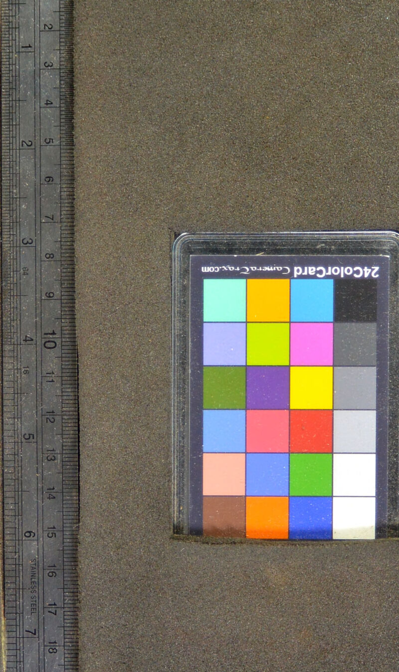 No text description is available for this image