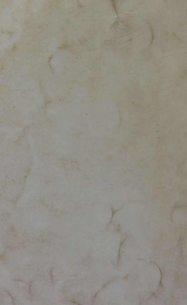 digitised image 2