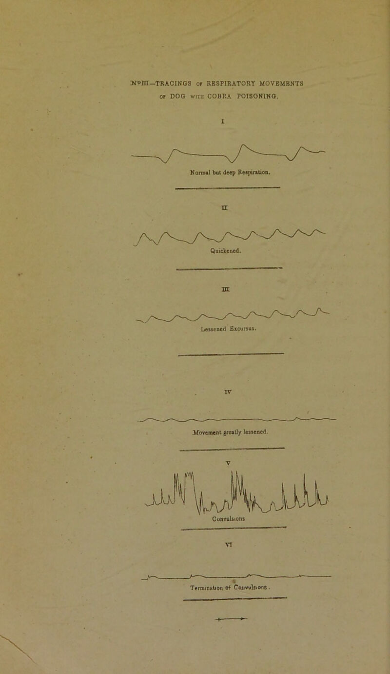N9Tn-TRACINGS or RESPIRATORY MOVEMENTS or DOG WITH COBRA POISONING. 1 Normal but deep Respiration. n Quickened. in Lessened Excursus. Terminaboti cf CoijwuUions •