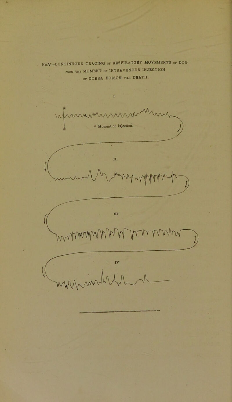 4 No.V—CONTltmOUS TRA.CINO or RgSPIRATOBY MOVBMBNTS or DOO rnou THB MOMENT or INTRAVENOUS INJECTION or COBRA POISON nu. DBATIl.