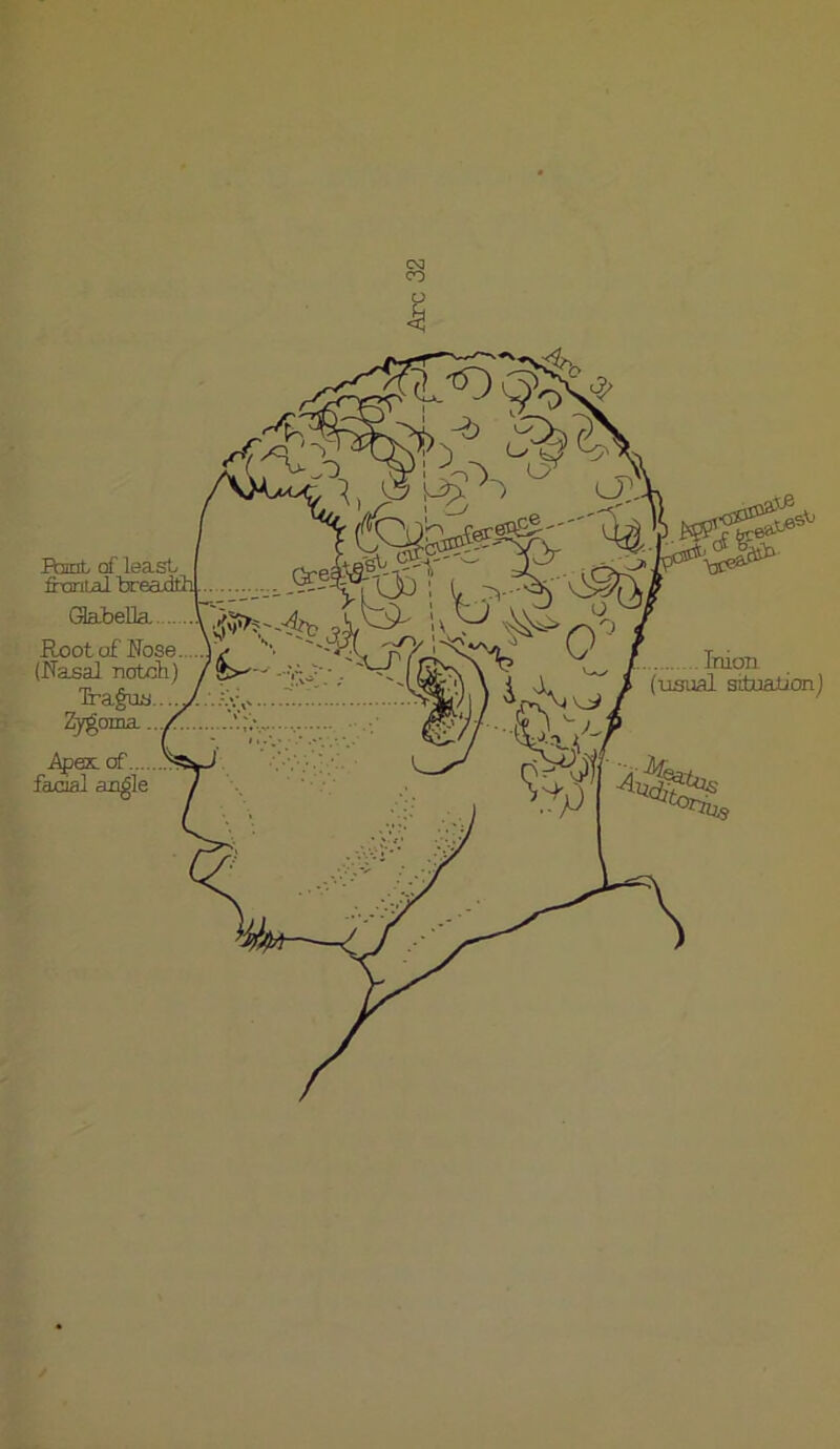 RsnL of least finriLal breadth. Sabella...., Root of Rose (Rasal notch) Tragus... 2^oma. of.... facial angle