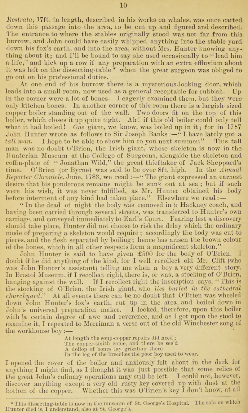 io Rostrata, 17ft. in length, described in his works on whales, was once carted down this passage into the area, to be cut up and figured and described. The entrance to where the stables originally stood was not far from this burrow, and John could have easily whipped anything into the stable yard down his fox’s earth, and into the area, without Mrs. Hunter knowing any- thing about it; and I’ll be bound to say she used occasionally to “lead him a life,’’ and kick up a row if any preparation with an extra effluvium about it was left on the dissecting-table * when the great surgeon was obliged to go out on his professional duties. At one end of his burrow there is a mysterious-looking door, which leads into a small room, now used as a general receptable for rubbish. Up in the corner were a lot of bones. I eagerly examined them, but they were only kitchen bones. In another corner of this room there is a largish-sized copper boiler standing out of the wall. Two doors fit on the top of this boiler, which closes it up quite tight. Ah ! if this old boiler could only tell what it had boiled! One giant, we know, was boiled up in it; for in 3 767 John Hunter wrote as follows to Sir Joseph Banks :—“ I have lately got a tall man. I hope to be able to show him to you next summer.” This tall man was no doubt O’Brien, the Irish giant, whose skeleton is now in the Hunterian Museum at the College of Surgeons, alongside the skeleton and coffin-plate of “ Jonathan Wild,” the great thieftaker of Jack Sheppard’s time. O’Brien (or Byrne) was said to be over 8ft. high. In the Annual Reporter Chronicle, June, 1783, we read :—“The giant expressed an earnest desire that his ponderous remains might be sunk out at sea ; but if such were his wish, it was never fulfilled, as Mr. Hunter obtained his body before interment of any kind had taken place.” Elsewhere we read : — “ In the dead of night the body was removed in a Hackney coach, and having been carried through several streets, was transferred to Hunter’s own carriage, and conveyed immediately to Earl’s Court. Fearing lest a discovery should take place, Hunter did not choose to risk the delay which the ordinary mode of preparing a skeleton would require ; accordingly the body was cut to pieces, and the fiesli separated by boiling; hence has arisen the brown colour of the bones, which in all other respects form a magnificent skeleton.” John Hunter is said to have given £500 for the body of O’Brien. I doubt if he did anything of the kind, for I well recollect old Mr. Clift (who was John Hunter’s assistant) telling me when a boy a very different story. In Bristol Museum, if I recollect right, there is, or was, a stocking of O’Brien, hanging against the wall. If I recollect right the inscription says, “ This is the stocking of O’Brien, the Irish giant, who lies buried in the cathedral churchyard.” At all events there can be no doubt that O’Brien was wheeled down John Hunter’s fox’s earth, cut up in the area, and boiled down in John’s universal preparation maker. I looked, therefore, upon this boiler with [a certain degree of awe and reverence, and as I got upon the stool to examine it, I repeated to Merriman a verse out of the old Winchester song of the workhouse boy :— At length the soup-copper repairs did need ; The copper-smith came, and there he see’d A dollop of bones lay grizzling there In the leg of the breeches the poor boy used to wear. I opened the cover of the boiler and anxiously felt about in the dark for anything I might find, as I thought it was just possible that some relics of the great John’s culinary operations may still be left. I could not, however, discover anything except a very old rusty key covered up with dust at the bottom of the copper. Whether this was O’Brien’s key I don’t know, at all * This dissecting-table is now in the museum of St. George's Hospital. The sofa on which Hunter died is, I understand, also at St. George’s.