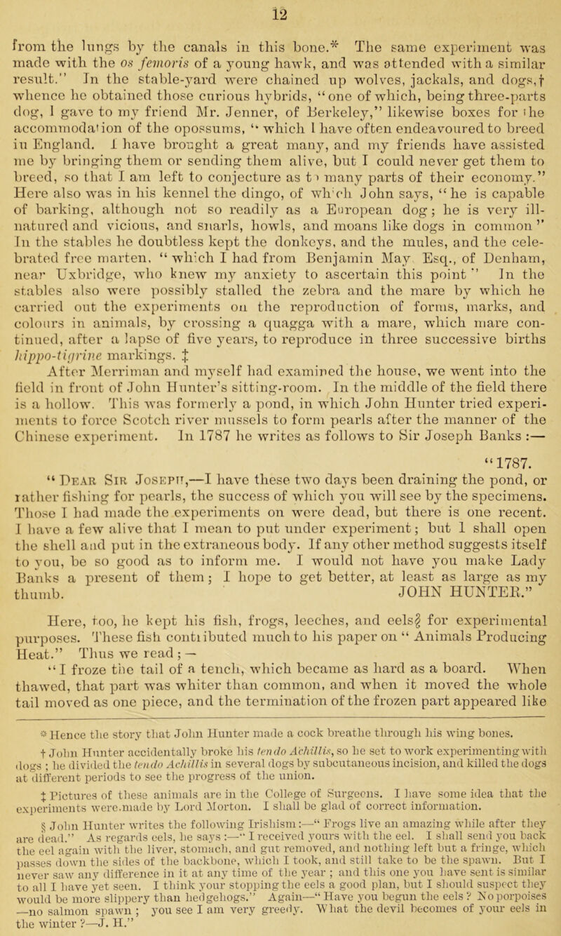 from the lungs by the canals in this bone.* * * § The same experiment was made with the os femoris of a young hawk, and was attended with a similar result.” In the stable-yard were chained up wolves, jackals, and dogs,f whence he obtained those curious hybrids, “one of which, being three-parts dog, 1 gave to my friend Mr. Jenner, of Berkeley,” likewise boxes for ihe accommodation of the opossums, “ which I have often endeavoured to breed in England. 1 have brought a great many, and my friends have assisted me by bringing them or sending them alive, but I could never get them to breed, so that I am left to conjecture as t > many parts of their economy.” Here also was in his kennel the dingo, of wlroh John says, “he is capable of barking, although not so readily as a European dog; he is very ill- natured and vicious, and snarls, howls, and moans like dogs in common ’’ In the stables he doubtless kept the donkeys, and the mules, and the cele- brated free marten, “ which I had from Benjamin May Escp, of Denham, near Uxbridge, who knew my anxiety to asceihain this point ” In the stables also were possibly stalled the zebra and the mare by which he carried out the experiments on the reproduction of forms, marks, and colours in animals, by crossing a quagga with a mare, which mare con- tinued, after a lapse of five years, to reproduce in three successive births hippo-tigrine markings. X After Merriman and myself had examined the house, we went into the field in front of John Hunter’s sitting-room. In the middle of the field there is a hollow. This was formerly a pond, in which John Hunter tried experi- ments to force Scotch river mussels to form pearls after the manner of the Chinese experiment. In 1787 he writes as follows to Sir Joseph Banks :— “1787. “ Dear Sir Joseph,—I have these two days been draining the pond, or rather fishing for pearls, the success of which you will see by the specimens. Those I had made the experiments on were dead, but there is one recent. I have a few alive that I mean to put under experiment; but 1 shall open the shell and put in the extraneous body. If any other method suggests itself to you, be so good as to inform me. I would not have you make Lady Banks a present of them ; I hope to get better, at least as large as my thumb. JOHN HUNTEB.” Here, too, he kept his fish, frogs, leeches, and eels$ for experimental purposes. These fish contributed much to his paper on “ Animals Producing Heat.” Thus we read ; — “I froze the tail of a tench, which became as hard as a board. When thawed, that part was whiter than common, and when it moved the whole tail moved as one piece, and the termination of the frozen part appeared like * Hence the story that John Hunter made a cock breathe through his wing bones. t John Hunter accidentally broke his ten do A'chillis, so he set to work experimenting with dogs ; he divided the tendo Achillis in several dogs by subcutaneous incision, and killed the dogs at different periods to see the progress of the union. } Pictures of these animals are in the College of Surgeons. I have some idea that the experiments were.made by Lord Horton. I shall be glad of correct information. § John Hunter writes the following Irishism:—“ Frogs live an amazing while after they are dead.” As regards eels, he says :— I received yours with the eel. I shall send you back the eel again with the liver, stomach, and gut removed, and nothing left but a fringe, which passes down the sides of the backbone, which I took, and still take to be the spawn. But I never saw any difference in it at any time of the year ; and this one you have sent is similar to all I liave yet seen. I think your stopping the eels a good plan, but I should suspect they would be more slippery than hedgehogs.” Again—“ Have you begun the eels ? Ho porpoises no salmon spawn ; you see I am very greedy. What the devil becomes of your eels in the winter ?—J. H.”