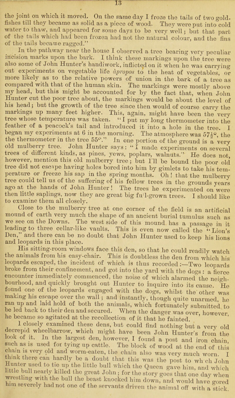 tliB joint on which it moved. On the same day I froze the tails of two gold- fishes till they became as solid as a piece of wood. They were put into cold water to thaw, and appeared for some days to be very well; but that part of the tails which had been frozen had not the natural colour, and the fins of the tails became ragged.” In the pathway near the house I observed a tree bearing very peculiar incision marks upon the bark. I think these markings upon the tree were also some of John Hunter’s handiwork, inflicted on it when he was carrying out experiments on vegetable life apropos to the heat of vegetables, or more likely as to the relative powers of union in the bark of a tree as compared with that of the human skin. The markings were mostly above my head, but this might be accounted for by the fact that, when John Hunter cut the poor tree about, the markings would be about the level of his head; but the growth of the tree since then would of course carrv the markings up many feet higher. This, again, might have been the very tree whose temperature was taken. “ I put my long thermometer into the feather of a peacock s tail and introduced it into a hole in the tree. I began my experiments at 0 in the morning. The atmosphere was 57^Q, the the thermometer in the tree 55c. In one portion of the ground is a very old mulberry tree. John Hunter says: “I made experiments on several trees of different kinds, as pines, yews, poplars, walnuts.” He does not however, mention this old mulberry tree ; but I'll be bound the poor old tree did not escape having holes bored into him by gimlets to take his tem- perature or freeze his sap in the spring months. Oh! that the mulberrv tree could tell us of the suffering of his fellow trees in the grounds years ago at the hands of J ohn Hunter! The trees he experimented on were then little saplings, now they are great big fu'l-grown trees. I should like to examine them all closely. Close to the mulberry tree at one corner of the field is an artificial mound of earth very much the shape of an ancient burial tumulus such as we see on the Downs. The west side of this mound has a passage in it leading to three cellar-like vaults. This is even now called the “Lion’s Den, and there can be no doubt that John Hunter used to keep his lions and leopards in this place. His sitting-room windows face this den, so that he could readily watch the animals from his easy-chair. This is doubtless the den from which his leopards escaped, the incident of which is thus recordedTwo leopards broke from their confinement, and got into the yard with the doms : a fierce encounter immediately commenced, the noise of which alarmed°the neigh- bourhood, and quickly brought out Hunter to inquire into its cause. Ho found one of the leopards engaged with the dogs, whilst the other was making his escape over the wall; and instantly, though quite unarmed, he ran up and laid hold of both the animals, which fortunately submitted to be led back to their den and secured. When the danger was over however he became so agitated at the recollection of it that he fainted. 1 closely examined these dens, but could find nothing but a very old decrepid wheelbarrow, which might have been John Hunter’s from the look of it. In the largest den, however, I found a post and iron chain such as is used for tying up cattle. The block of wood at the end of this chain is very 9ld and worm-eaten, the chain also was very much worn I thmk there can hardly be a doubt that this was the post to wli ch John little 1^ lT *1° llttle,b?1! Whlch the Queon 8’ave him, and which little bull nearly killed the great John; for the story goes that one day when wrestling with the bull the beast knocked him down, and would have gored him severely had not one of the servants driven the animal off with a stick