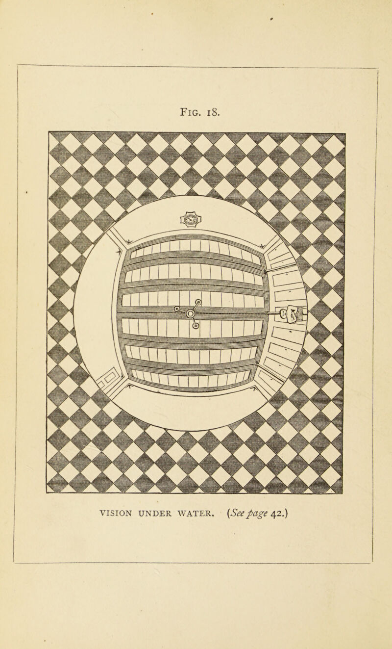 vision under water. (Seepage 42.)