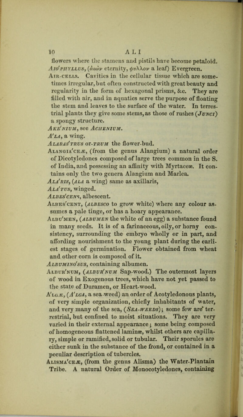 flowers where the stamens and pistils have become petaloid. Aio'PHYLLUS, {duDv eternity, 0v\Xov a leaf) Evergreen. Air-cells. Cavities in the cellular tissue which are some- times irregular, but often constructed with great beauty and regularity in the form of hexagonal prisms, &c. They are filled with air, and in aquatics serve the purpose of floating the stem and leaves to the surface of the water. In terres- trial plants they give some stems, as those of rushes (Junci) a spongy structure. A ke'nium, see Achenium, A'LA, a wing. Alabas'trus ot-trum the flower-bud. Alangia'ce^, (from the genus Alangium) a natural order of Dicotyledones composed of large trees common in the S. of India, and possessing an affinity with Myrtaceae. It con- tains only the two genera Alangium and Marlea. Ala'ris, {ala a wing) same as axillaris, Ala'tus, winged. Albes^cens, albescent. Albes'cent, {albesco to grow white) where any colour as- sumes a pale tinge, or has a hoary appearance. Albu'men, {albumen the white of an egg) a substance found in many seeds. It is of a farinaceous, oily, or horny con- sistency, surrounding the embryo wholly or in part, and affording nourishment to the young plant during the earli- est stages of germination. Flower obtained from wheat and other corn is composed of it. Albumino'sus, containing albumen. Albur'num, (albur'num Sap-wood.) The outermost layers of wood in Exogenous trees, which have not yet passed to the state of Duramen, or Heart-wood. A'lg^e, (A'lga, a sea-weed) an order of Acotyledonous plants, of very simple organization, chiefly inhabitants of water, and very many of the sea, (Sea-weeds); some few are* ter- restrial, but confined to moist situations. They are very varied in their external appearance; some being composed of homogeneous flattened laminae, whilst others are capilla- ry, simple or ramified, solid or tubular. Their sporules are either sunk in the substance of the frond, or contained in a peculiar description of tubercles. Alisma'cejs, (from the genus Alisma) the Water-Plantain Tribe. A natural Order of Monocotyledones, containing