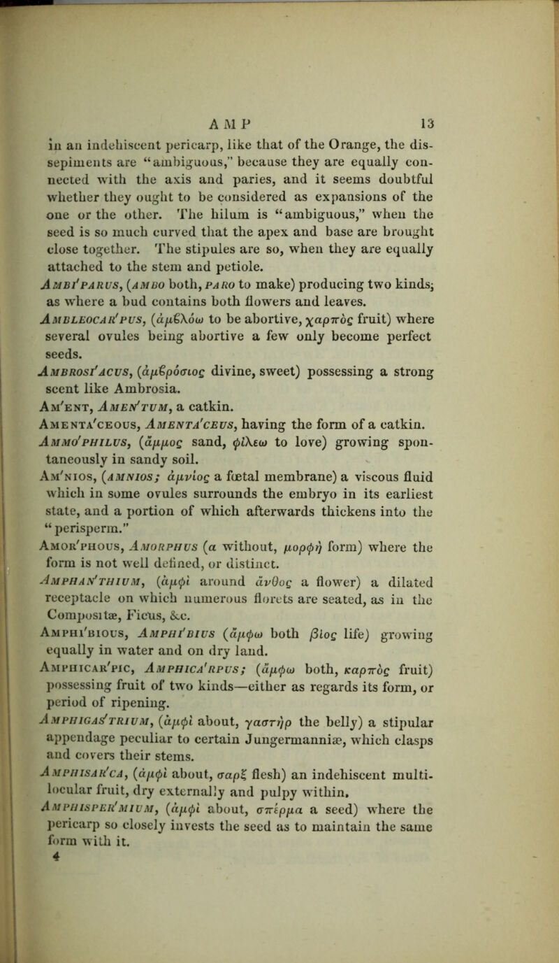 ill an indehiscent pericarp, like that of the Orange, the dis- sepiments are “ambiguous,” because they are equally con- nected with the axis and paries, and it seems doubtful whether they ought to be considered as expansions of the one or the other. The hilum is “ ambiguous,” when the seed is so much curved that the apex and base are brought close together. The stipules are so, when they are equally attached to the stem and petiole. Ambi'PARus, {amBO both, PARo to make) producing two kinds^ as where a bud contains both flowers and leaves. Ambleocar'pus, {dfi^XSw to be abortive, fruit) where several ovules being abortive a few only become perfect seeds. Ambrosi'acus, {d[jL^p6(TLog divine, sweet) possessing a strong scent like Ambrosia. Am'ent, Amep/tum, a catkin. Amenta'ceous, Amenta'ceus, having the form of a catkin. Ammo'philus, {dufjLog sand, (piXe(jj to love) growing spon- taneously in sandy soil. Am'nios, {amnios; dfiviog a foetal membrane) a viscous fluid which in some ovules surrounds the embryo in its earliest state, and a portion of which afterwards thickens into the “ perisperin.” Amor'phous, Amorphus {a without, form) where the form is not well defined, or distinct. Amphan'thwm, {ajjL(pi around dvOog a flower) a dilated receptacle on which numerous florets are seated, as in the CorapositaB, Ficus, &.c. Amphi'bious, Amphi'bius (ducjHjj both (Slog life) growing equally in water and on dry land. Amphicar'pic, Amphica'rpus; {djx(p(jj both, Kapirog fruit) possessing fruit of two kinds—either as regards its form, or period of ripening. Amphiga^trivm, {dp.<pl about, yaarrip the belly) a stipular appendage peculiar to certain Jungermanniae, which clasps and covers their stems. AMPiusAR'cAf {dp,(pi about, <jap^ flesh) an indehiseent multi- locular fruit, dry externally and pulpy within, Ampuisper'MiVMy {dfi^l about, aireppLa a seed) where the pericarp so closely invests the seed as to maintain the same form with it. 4