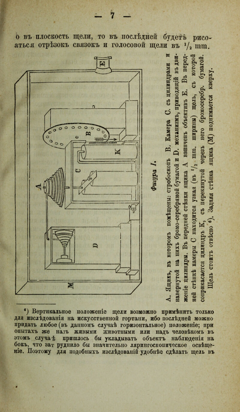 Ь въ плоскость щели, то въ послѣдней будетъ рисо- аться отрѣзокъ связокъ и голосовой щели въ ‘Д тга. Р4 9» § н я ьР ^ Э и ^ О - I •ѳ. » ^ 2 'О 3 ® я св (4 » 5 • Я О Я я я 9Н -«я:^ Я в Й >я 2 *=5 я ы я я л >я о »я 09 2 « >» \о я ^ л \о ніГ 2 м л 2- ^ о Я _ о я 'О* я и ^ л 2 а я й О я л я 2 а* ^ я Н ос ® п ^ я \о н я Й я § о <1) о я о о л Рн О ѵо я я ^ X РР к я о я н о я 8 м я я Р4 о ^ г го Й я - я о Р. § я я й л св СС о Я 5 Я о Н ® ^ •Я ф я Св й Я о ч >Я се Р н К о я м 2 р я о 9Н н я >> я я л 2 2 я й р я ^ ®) Вертикальное положеніе щели возможно примѣнить только для изслѣдованія на искусственной гортани, ибо послѣдней можно придать любое (въ данномъ случаѣ горизонтальное) положеніе; при опытахъ же надъ живыми животными или надъ человѣкомъ въ этомъ случаѣ пришлось бы укладывать объектъ наблюденія на бокъ, что зат руднило бы значительно ларингоскопическое освѣще- ніе. Поэтому для подобныхъ изслѣдованій удобнѣе сдѣлать щель въ