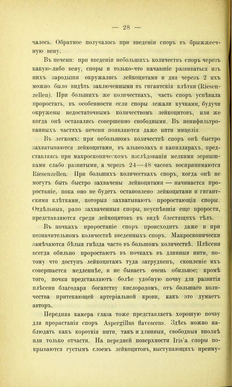 чалось. Обратное получалось при введеніи споръ въ брыжжееч- ную вену. Въ печени: при введеніи неболыпихъ количествъ споръ черезъ какую-либо вену, споры и только-что начавшіе развиваться изъ нихъ зародыши окружались лейкоцитами и дня черезъ 2 ихъ можно было видѣть заключенными въ гигантскія клѣтки (Шезен- геііеп). При большихъ же количествахъ, часть споръ успѣвала проростать, въ особенности если споры лежали кучками, будучи окружены недостаточнымъ количествомъ лѳйкоцитовъ, или же когда онѣ оставались совершенно свободными. Въ неинфильтро- ванныхъ частяхъ печени появляются даже нити мицелія. Въ легкомъ: при неболыпомъ количествѣ споръ онѣ быстро захватываются лейкоцитами, въ альвеолахъ и капиллярахъ, пред- ставляясь при макроскопическомъ изслѣдованіи мелкими зерныш- ками слабо развитыми, а черезъ 24—48 часовъ воспринимаются ІІіезепхеІІен. При большихъ количествахъ споръ, когда онѣ не могутъ быть быстро захвачены лейкоцитами — начинается про- ростаніе, пока оно не будетъ остановлено лейкоцитами и гигант- скими клѣтками, которыя захватываюсь проростающія споры. Отдѣльныя, рано захваченныя споры, неуспѣвшія еще прорости, представляются среди лейкоцитовъ въ видѣ блестящихъ тѣлъ. Въ почкахъ проростаніе споръ происходить даже и при незначительномъ количествѣ введенныхъ споръ. Макроскопически замѣчаются бѣлыя гнѣзда часто въ болыномъ количествѣ. Плѣсени всегда обильно проростаютъ въ почкахъ въ длинныя нити, по- тому что доступъ лейкоцитамъ туда затрудненъ, скопленіе ихъ совершается медленнѣе, и не бываетъ очень обильное; кромѣ того, почки представляютъ болѣе удобную почву для развитія плѣсени благодаря богатству кислородомъ, отъ болынаго коли- чества притекающей артеріальной крови, какъ это думаетъ авторъ. Передняя камера глаза тоже представляетъ хорошую почву для прорастанія споръ Аврег&Шиз Йаѵе8сеіі8. Здѣсь можно на- блюдать какъ короткія нити, такъ и длинныя, свободныя вполнѣ или только отчасти. На передней поверхности Ігіз'а споры по- крываются густымъ слоемъ лейкоцитовъ, выступающихъ преиму-