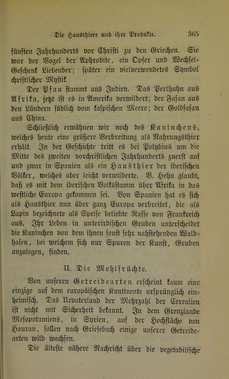 fünften 3cit)r£)unbcrt§ üor ©Ijrifti 511 ben ©rieten. Sie mar ber Voget ber Slpprobite, ein Opfer unb Söedjfet* ®efd)enf Sicbenber; fpäter ein üielöermenbete§ Spmbot d)rift(id£)er 90?pftif. ©er ^5fau ftammt au§ Qnbien. ®a§ ^erlpupn au§ Slfrifa, jept ift e§ in 5lntcrifa üermitbert; ber Safan au§ ben Säubern füblidp öom fafpifdjen SJicerc; ber ©olbfafan au§ Spina. Sdpliejjlicp ermäpnen mir nod) be§ Kanin d)en§, metdpe§ peute eine größere Verbreitung at§ üftaprungStpicr ertjätt. ^it ber ©efdjidjte tritt e§ bei ißoIt)biu§ um bie SIftitte be§ streiten oordpriftUdpen Sat)rt)unbert§ guerft auf unb jmar in Spanien at§ ein £au§tpier ber iberifdjeit Völfer, metdpe§ aber teid)t üermilberte. V. |>eptt gtaubt, bafs e§ mit bctn iberifdjeit VolfSftanun über Stfrifa in ba§ meftiicpe ©uropa gefornmen fei. Von Spanien pat e§ fiep at§ |>au§tpier nun über ganj ©uropa Oerbreitet, bie al§ Sapin bejeidpnete al§ Speife beliebte Vaffe Oon granfreicp au§. SP^ Sebeit in unterirbifdpen ©rubeit unterfdpeibet bie Kanindpen Oon bem ipnen fonft fepr napftepenbeit SBaib* pafen, bei metdpern fid) nur Spuren ber Kunft, ©ruben anjutegen, ftnben. II. ®ie ÜDieptfrüdpte. Von unferen ©etreibearten erfdjeint taum eine einzige auf bem europäifdpen Kontinente urfprünglid) ein* peimifcp. $a§ UrOatertanb ber 9Jiepr§apt ber Serealien ift nicpt mit Stcperpeit betannt. Sn bem ©renjtanbe SWefopotamienä, in Sprien, auf ber |iod)ftäd)e oon $auran, follcn nacp ©riefebad) einige unferer ©etreibe* arten mitb madpfeit. ®ie äitcfte nähere 9Zadprid)t über bie üegetabitifdpe