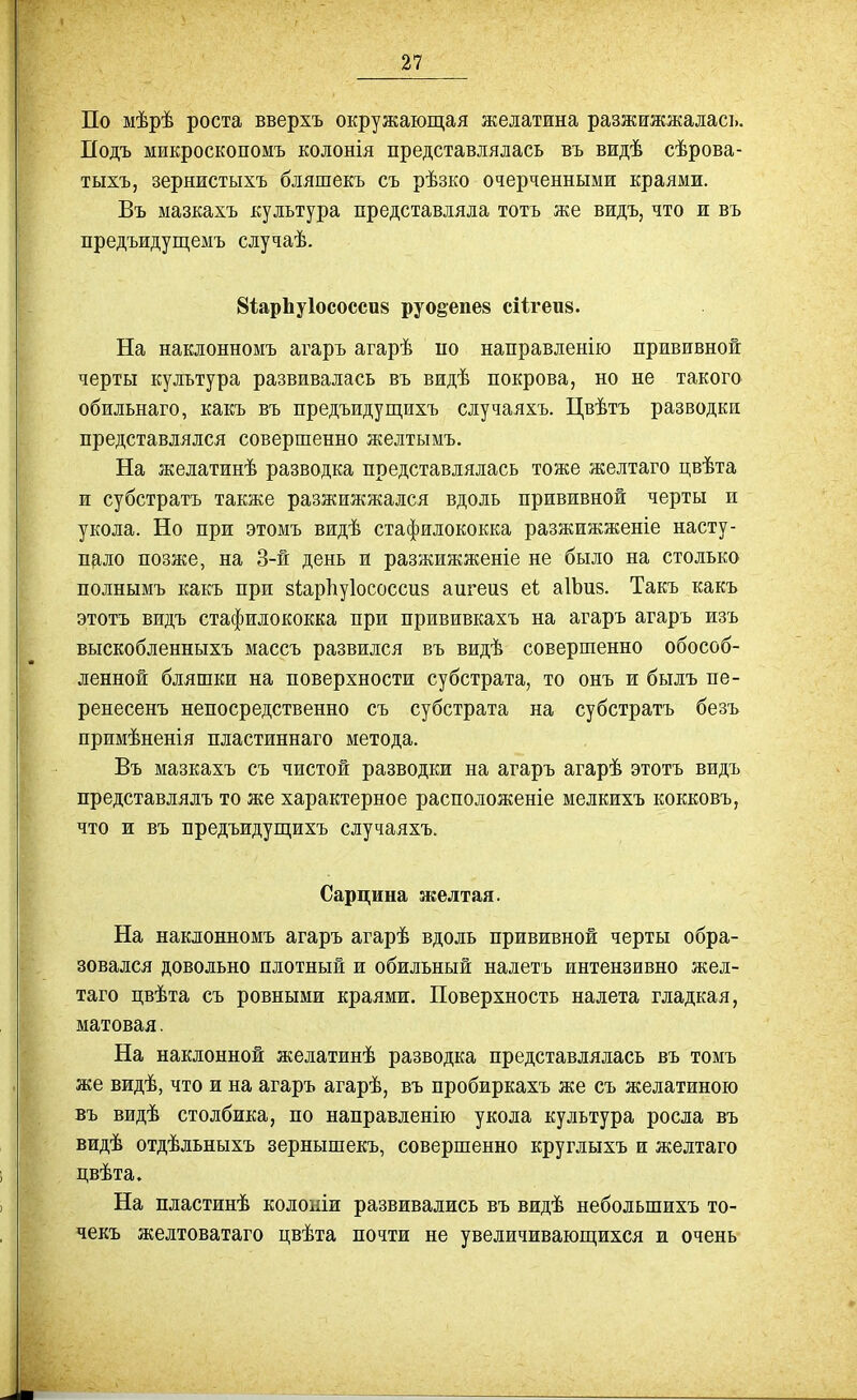 По шѣрѣ роста вверхъ окружающая желатина разжижжаласъ. Подъ микроскопомъ колонія представлялась въ видѣ сѣрова- тыхъ, зернистыхъ бляшекъ съ рѣзко очерченными краями. Въ мазкахъ культура представляла тотъ же видъ, что и въ предъидущемъ случаѣ. 81арЬу1ососси8 руо§епе8 сіігеи». На наклонномъ агаръ агарѣ по направленію прививной черты культура развивалась въ видѣ покрова, но не такого обильнаго, какъ въ предъидущихъ сдучаяхъ. Цвѣтъ разводки представлялся совершенно желтымъ. На желатинѣ разводка представлялась тоже желтаго цвѣта и субстратъ также разжижжался вдоль прививной черты и укола. Но при этомъ вждѣ стафилококка разжижженіе насту- пало позже, на 3-й день и разжижженіе не было на столько полнымъ какъ при зіарЬуІососсиз аигеиз еЬ аІЬиз. Такъ какъ этотъ видъ стафилококка при прививкахъ на агаръ агаръ изъ выскобленныхъ массъ развился въ видѣ совершенно обособ- ленной бляшки на поверхности субстрата, то онъ и былъ пе- ренесенъ непосредственно съ субстрата на субстратъ безъ примѣненія пластиннаго метода. Въ мазкахъ съ чистой разводки на агаръ агарѣ этотъ видъ представлялъ то же характерное расположеніе мелкихъ кокковъ, что и въ предъидуп],ихъ случаяхъ. Сардина желтая. На наклонномъ агаръ агарѣ вдоль прививной черты обра- зовался довольно плотный и обильный налетъ интензивно жел- таго цвѣта съ ровными краями. Поверхность налета гладкая, матовая. На наклонной желатинѣ разводка представлялась въ томъ же видѣ, что и на агаръ агарѣ, въ пробиркахъ же съ желатиною въ видѣ столбика, по направленію укола культура росла въ видѣ отдѣльныхъ зернышекъ, совершенно круглыхъ и желтаго цвѣта. На пластинѣ колоши развивались въ видѣ небольшихъ то- чекъ желтоватаго цвѣта почти не увеличиваюп],ихся и очень