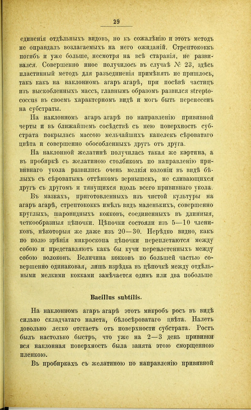единенія отдѣдьныхъ видовъ, но къ сожалѣнію ж этотъ методъ не оправдалъ возлагаемыхъ на него ожиданій. Стрептококкъ погибъ и уже больше, несмотря на всѣ старанія, не разви- вался. Совершенно иное получилось въ случаѣ № 23, здѣсь пластинный методъ для разъединенія примѣнять не пришлось, такъ какъ на наклонномъ агаръ агарѣ, при посѣвѣ частицъ изъ выскобленныхъ массъ, главнымъ образомъ развился зігеріо- соссиз въ своемъ характерномъ видѣ и могъ быть перенесенъ на субстраты. На наклонномъ агаръ агарѣ по направленію прививной черты и въ ближайшемъ сосѣдствѣ съ нею поверхность суб- страта покрылась массою мельчайшихъ капелекъ сѣроватаго цвѣта и совершенно обособленныхъ другъ отъ друга. На наклонной желатинѣ получилась такая же картина, а въ пробиркѣ съ желатиною столбикомъ по направленію при- вивнаго укола развились очень мелкія колоніи въ видѣ бѣ- лыхъ съ сѣроватымъ оттѣнкомъ зернышекъ, не сливающ;ихся другъ съ другомъ и тянуш;ихся вдоль всего прививнаго укола. Въ мазкахъ, приготовленныхъ изъ чистой культуры на агаръ агарѣ, стрептококкъ имѣлъ видъ маленькихъ, совершенно круглыхъ, шаровидныхъ кокковъ, соединенныхъ въ длжнныя, четкообразныя цѣпочки. Цѣпочки состояли изъ 5—10 члени- ковъ, нѣкоторыя же даже изъ 20—30. Нерѣдко видно, какъ по полю зрѣнія микроскопа цѣпочки переплетаются между собою и представляютъ какъ бы кучи переплетенныхъ между собою волоконъ. Величина кокковъ по большей частью со- вершенно одинаковая, лишь изрѣдка въ цѣпочкѣ между отдѣль- ными мелкими кокками замѣчается одинъ или два побольше БасіІІив виЪііІі». На наклонномъ агаръ агарѣ этотъ микробъ росъ въ видѣ сильно складчатаго налета, бѣлосѣроватаго цвѣта. Налетъ довольно легко отстаетъ отъ поверхности субстрата. Ростъ былъ настолько быстръ, что уже на 2—3 день прививки вся наклонная поверхность была занята этою сморш;енною пленкою. Въ пробиркахъ съ желатиною по направленію прививной
