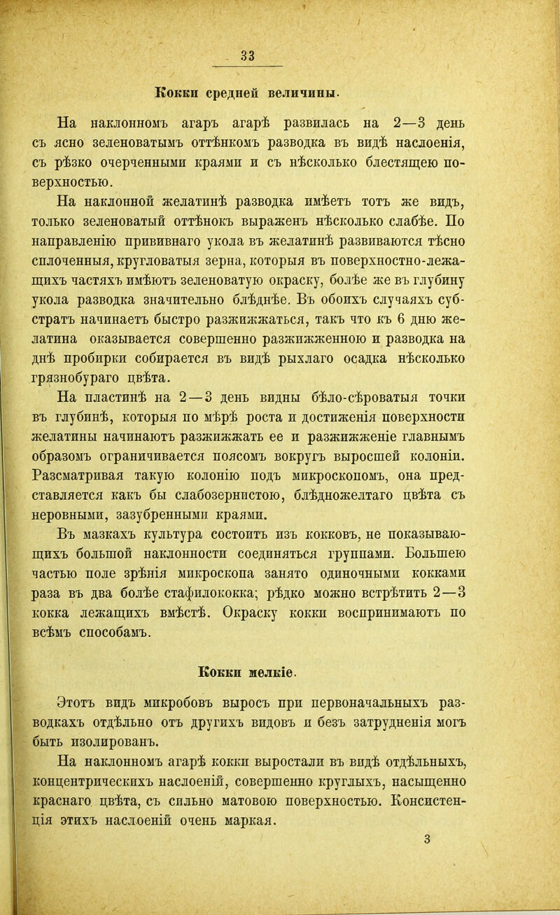 Коккп средней величины. На наклонномъ агаръ агарѣ развилась на 2—3 день съ ясно зеленоватымъ оттѣнкомъ разводка въ видѣ наслоенія, съ рѣзко очерченными краями ж съ нѣсколько блестящею по- верхностью. На наклонной желатинѣ разводка имѣетъ тотъ же видъ, только зеленоватый оттѣнокъ выраженъ нѣсколько слабѣе. По направленію прививнаго укола въ желатинѣ развиваются тѣсно сплоченныя, кругловатыя зерна, которыя въ поверхностно-лежа- щихъ частяхъ имѣютъ зеленоватую окраску, болѣе же въ глубину укола разводка значительно блѣднѣе. Въ обоихъ случаяхъ суб- стратъ начинаетъ быстро разжижжаться, такъ что къ 6 дню же- латина оказывается совершенно разжижженною и разводка на днѣ пробирки собирается въ видѣ рыхлаго осадка нѣсколько грязнобураго цвѣта. На пластинѣ на 2—3 день видны бѣло-сѣроватыя точки въ глубинѣ, которыя по мѣрѣ роста и достиженія поверхности желатины начинаютъ разжижжать ее и разжижженіе гдавнымъ образомъ ограничивается поясомъ вокругъ выросшей колоніи. Разсматривая такую колонію подъ мжкроскопомъ, она пред- ставляется какъ бы слабозернистою, блѣдножелтаго цвѣта съ неровными, зазубренными краями. Въ мазкахъ культура состоитъ изъ кокковъ, не показываю- щихъ большой наклонности соединяться группами. Большею частью поле зрѣнія микроскопа занято одиночными кокками раза въ два болѣе стафилококка; рѣдко можно встрѣтить 2—3 кокка лежащихъ вмѣстѣ. Окраску кокки воспринимаютъ по всѣмъ способамъ. Кокки мелкіе. Этотъ видъ микробовъ выросъ при первоначальныхъ раз- водкахъ отдѣльно отъ другихъ видовъ и безъ затрудненія могъ быть изолированъ. На наклонномъ агарѣ кокки выростали въ видѣ отдѣльныхъ, концентрическихъ наслоеній, совершенно круглыхъ, насыщенно краснаго цвѣта, съ сильно матовою поверхностью. Консистен- ція этихъ наслоеній очень маркая. 3