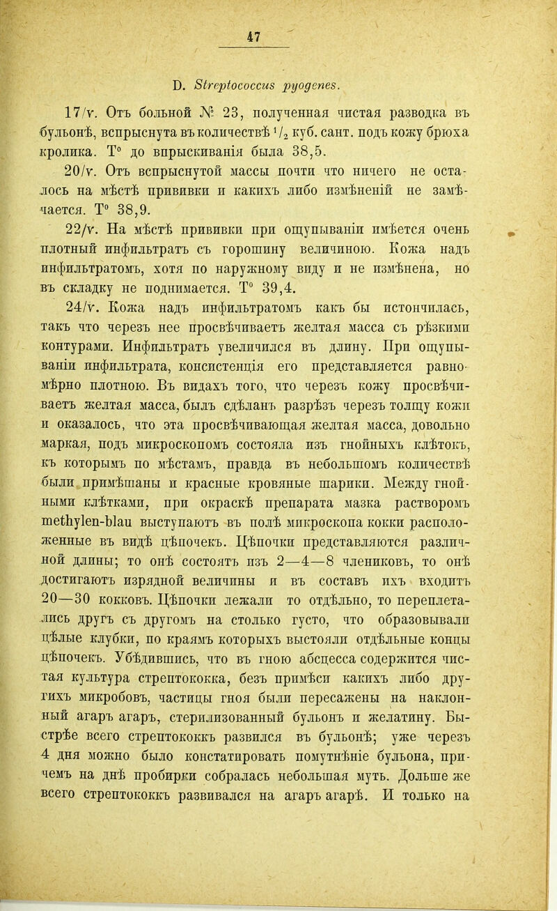 В. Зігеріососсиз руодепез. 17/ѵ. Отъ больной № 23, полученная чистая разводка въ бульонѣ, вспрыснута въколичествѣ Ѵг куб. сант. подъ кожу брюха кролика. Т до впрыскиванія была 38,5. 20/ѵ. Отъ вспрыснутой массы почти что ничего не оста- лось на мѣстѣ прививки и какихъ либо измѣненій не замѣ- чается. Т 38,9. 22/у. На мѣстѣ прививки при ощупываніи имѣется очень плотный инфильтратъ съ горошину величиною. Кожа надъ инфильтратомъ, хотя по наружному виду и не измѣнена, но въ складку не поднимается. Т° 39,4. 24/у. Кожа надъ инфильтратомъ какъ бы истончилась, такъ что черезъ нее просвѣчиваетъ желтая масса съ рѣзкими контурами. Инфильтратъ увеличился въ длину. При ощупы- ваніи инфильтрата, консистенція его представляется равно- мѣрно плотною. Въ видахъ того, что черезъ кожу просвѣчи- ваетъ желтая масса, былъ сдѣланъ разрѣзъ черезъ толгцу кожи и оказалось, что эта просвѣчивающая желтая масса, довольно маркая, подъ микроскопомъ состояла изъ гнойныхъ клѣтокъ, къ которымъ по мѣстамъ, правда въ небольшомъ количествѣ были примѣшаны и красные кровяные шарики. Между гной- ными клѣтками, при окраскѣ препарата мазка растворомъ шеШуІеп-Ыап выступаютъ въ полѣ микроскопа кокки располо- женные въ видѣ цѣлочекъ. Цѣпочки представляются различ- ной длины; то онѣ состоятъ пзъ 2—4—8 члениковъ, то онѣ достигаютъ изрядной величины и въ составъ ихъ входить 20—30 кокковъ. Цѣпочки лежали то отдѣльно, то переплета- лись другъ съ другомъ на столько густо, что образовывали цѣлые клубки, по краямъ которыхъ выстояли отдѣльные концы цѣпочекъ. Убѣдившись, что въ гною абсцесса содержится чис- тая культура стрептококка, безъ примѣси какихъ либо дру- гихъ микробовъ, частицы гноя были пересажены на наклон- ный агаръ агаръ, стерилизованный бульонъ и желатину. Бы- стрѣе всего стрептококкъ развился въ бульонѣ; уже черезъ 4 дня мояшо было констатировать помутнѣніе бульона, при- чемъ па днѣ пробирки собралась небольшая муть. Дольше же всего стрептококкъ развивался на агаръ агарѣ. И только на